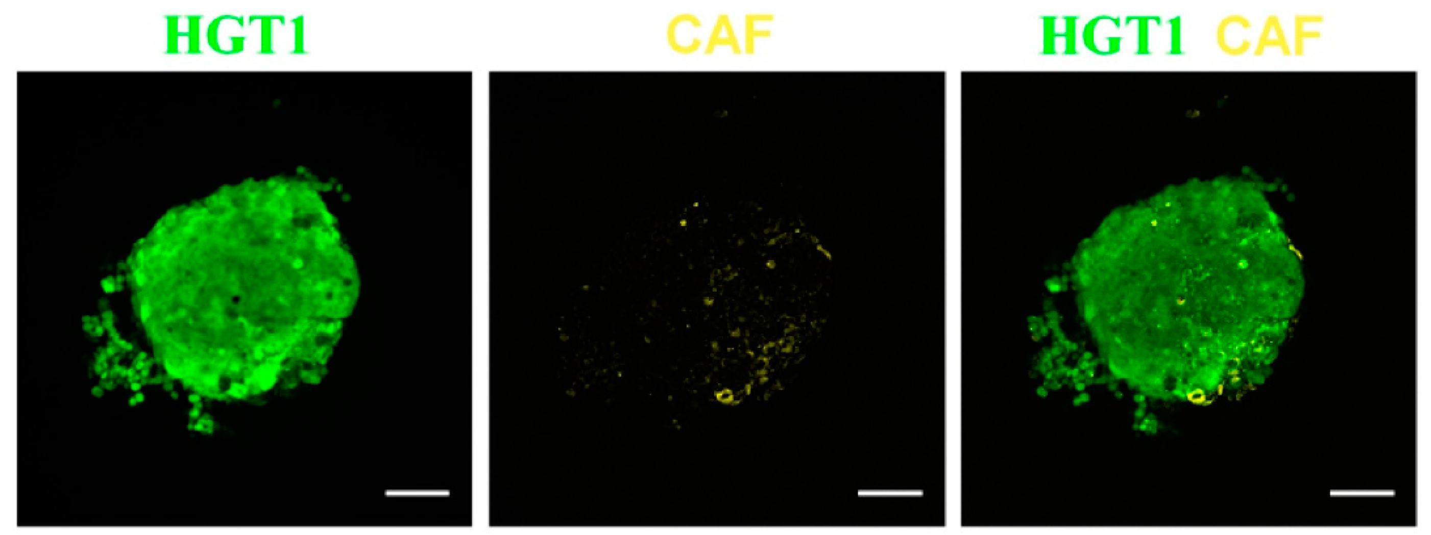 Preprints 112627 g008