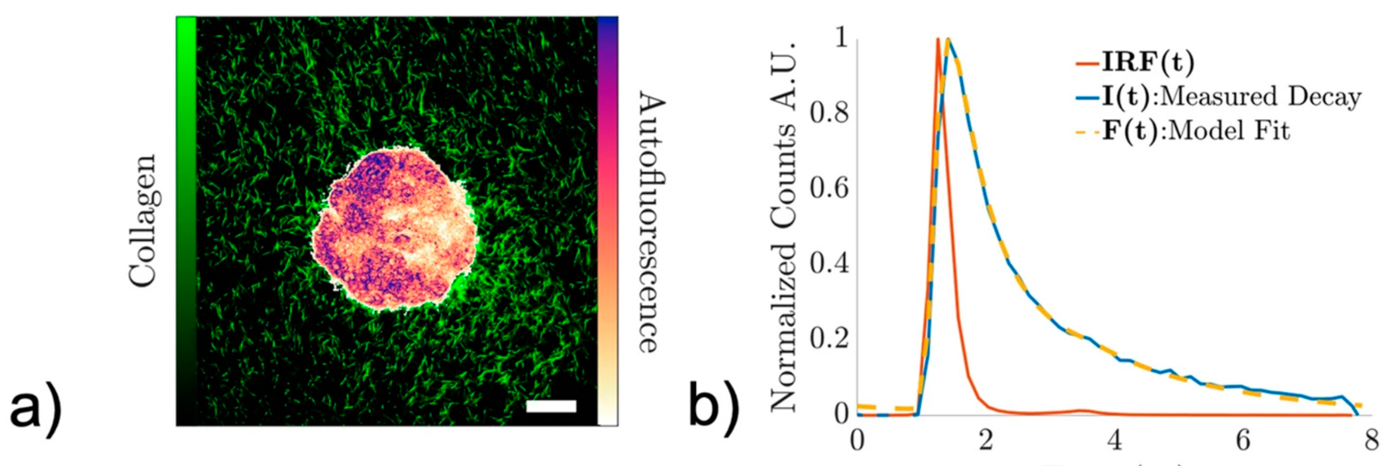 Preprints 112627 g009