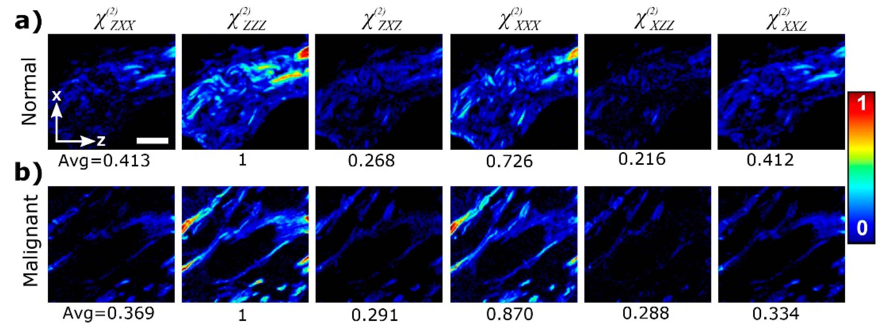 Preprints 112627 g010