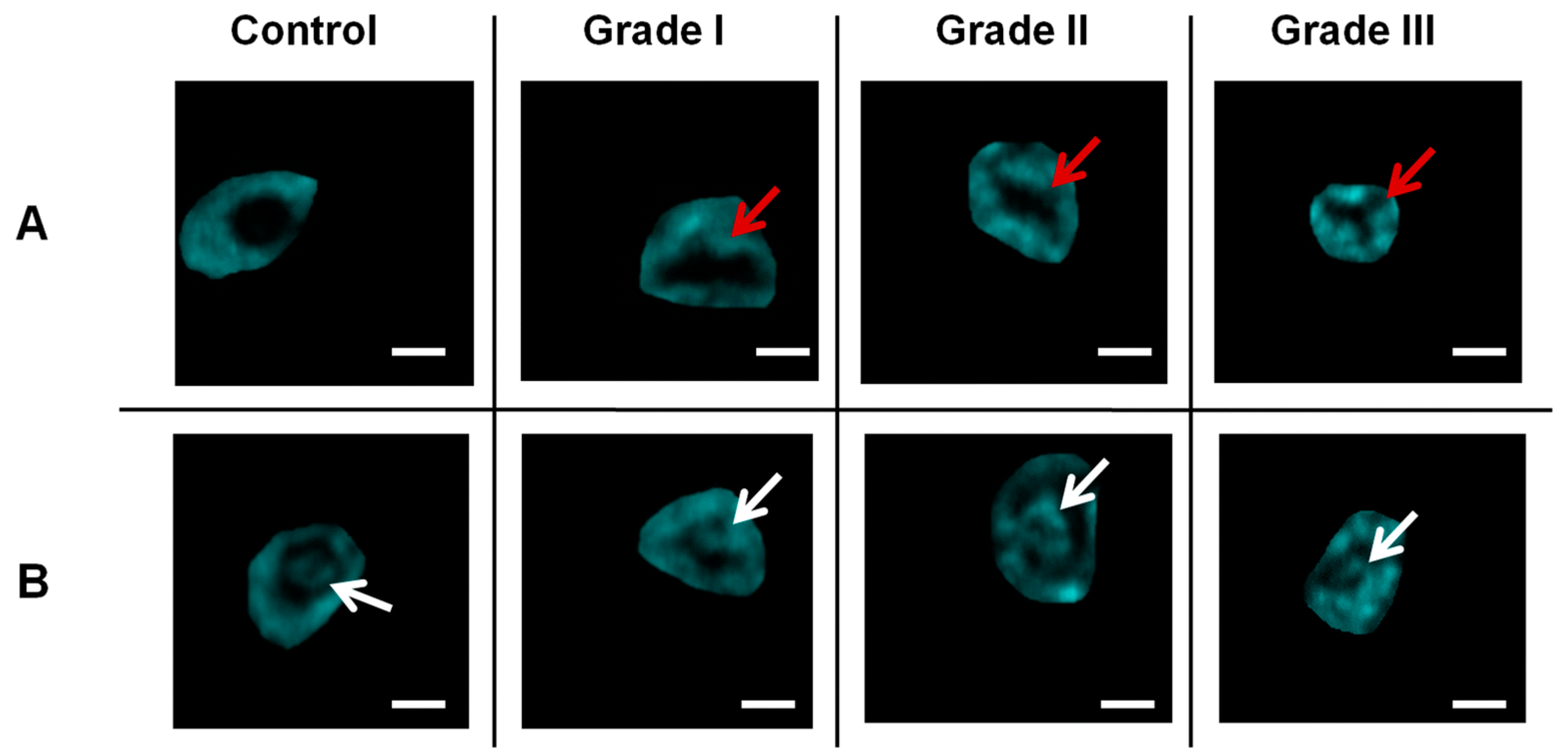 Preprints 112627 g011