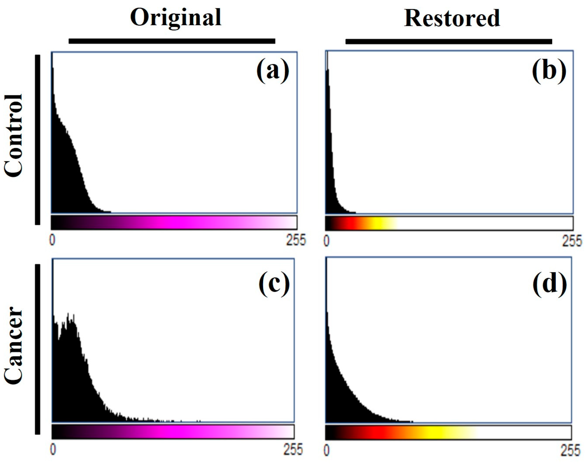 Preprints 112627 g013