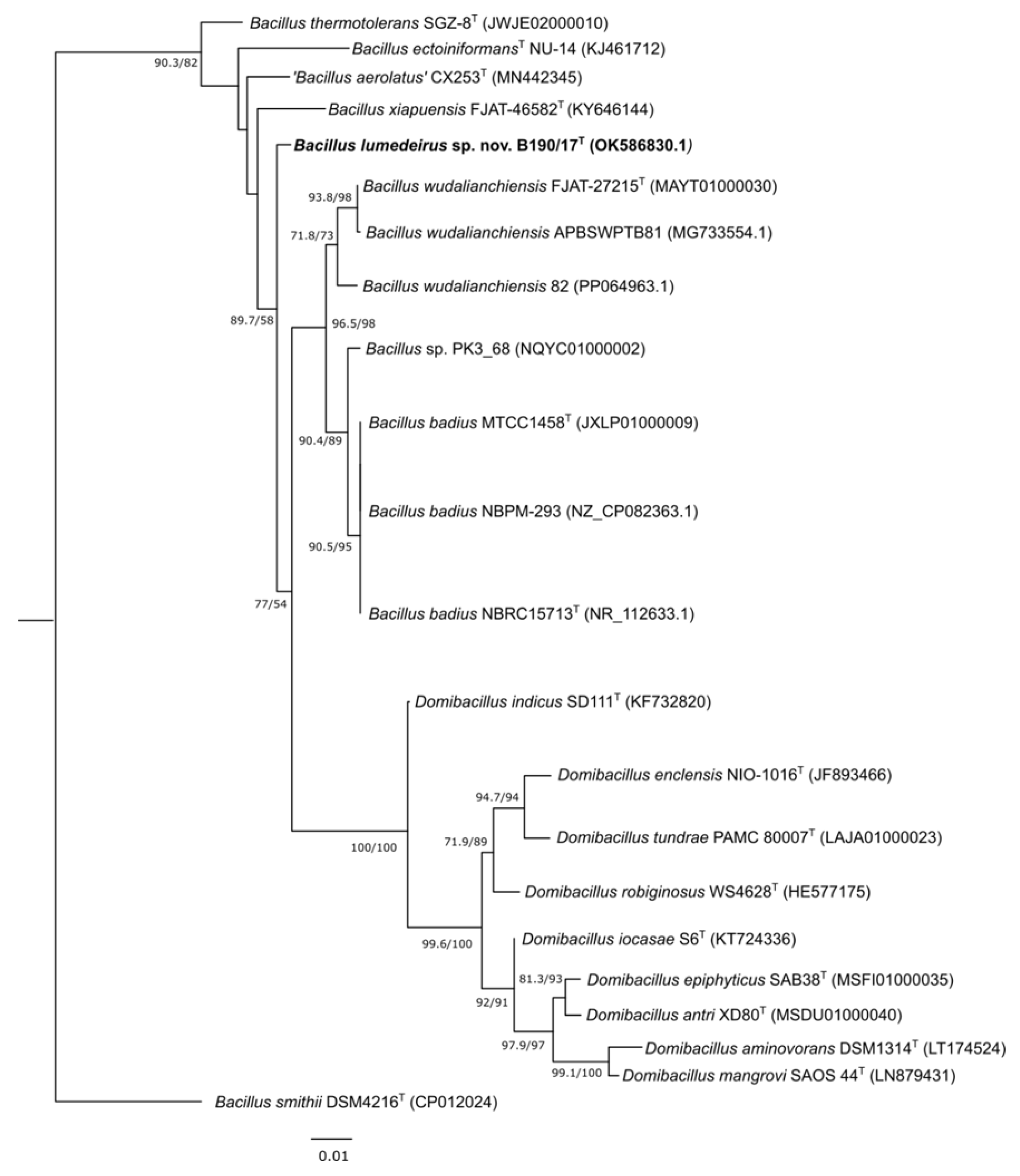 Preprints 121852 g002