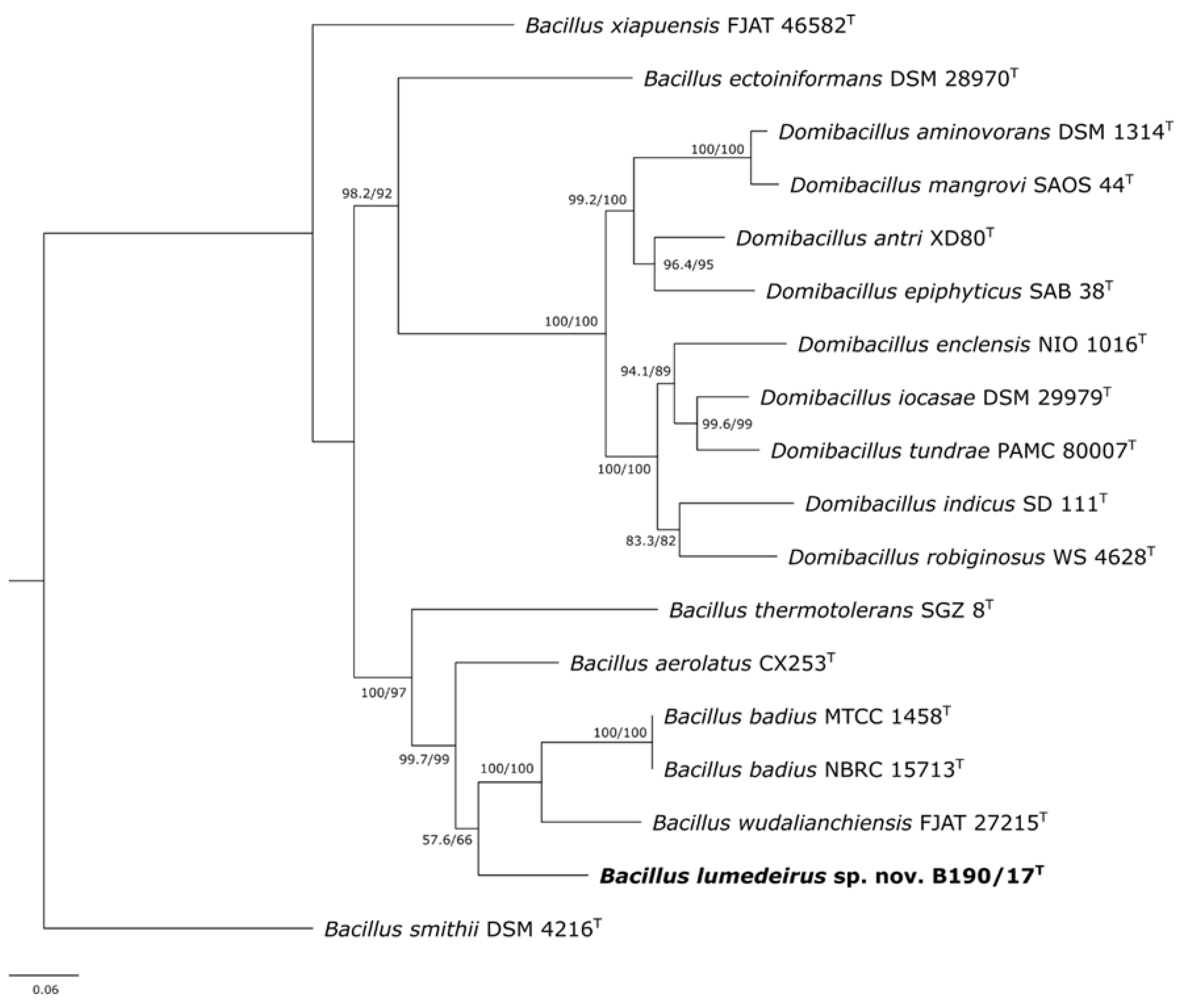 Preprints 121852 g003