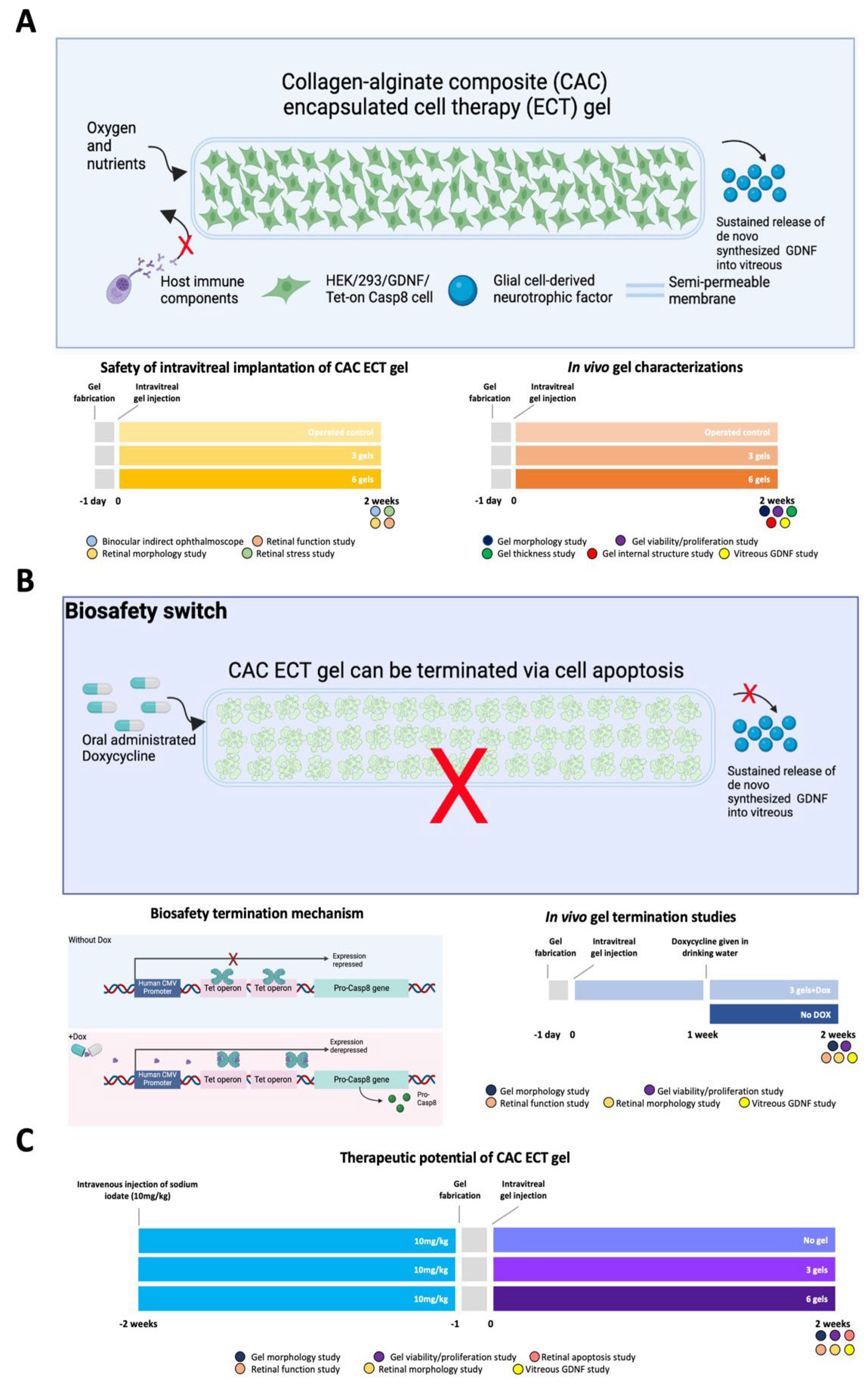 Preprints 114354 g001