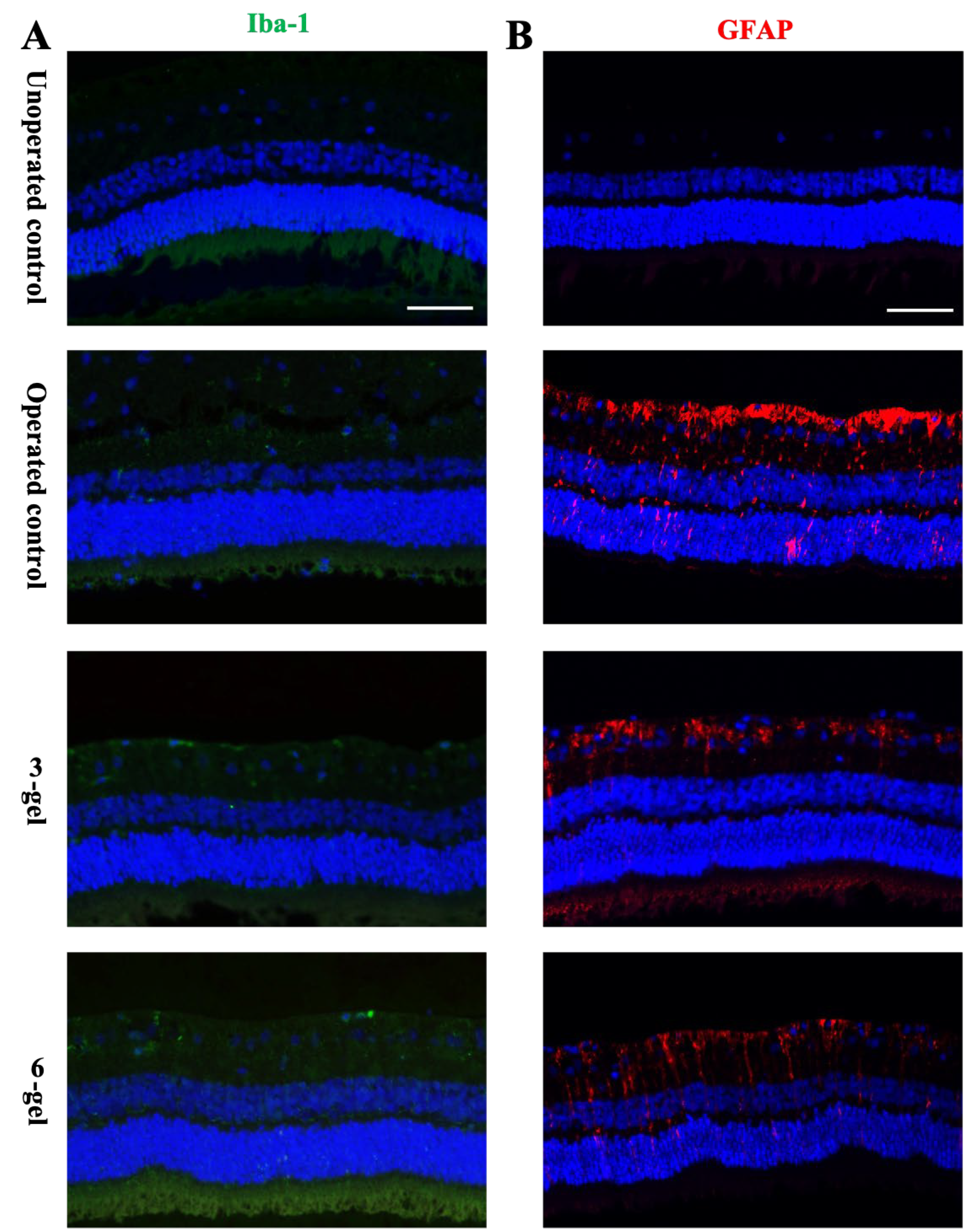 Preprints 114354 g003