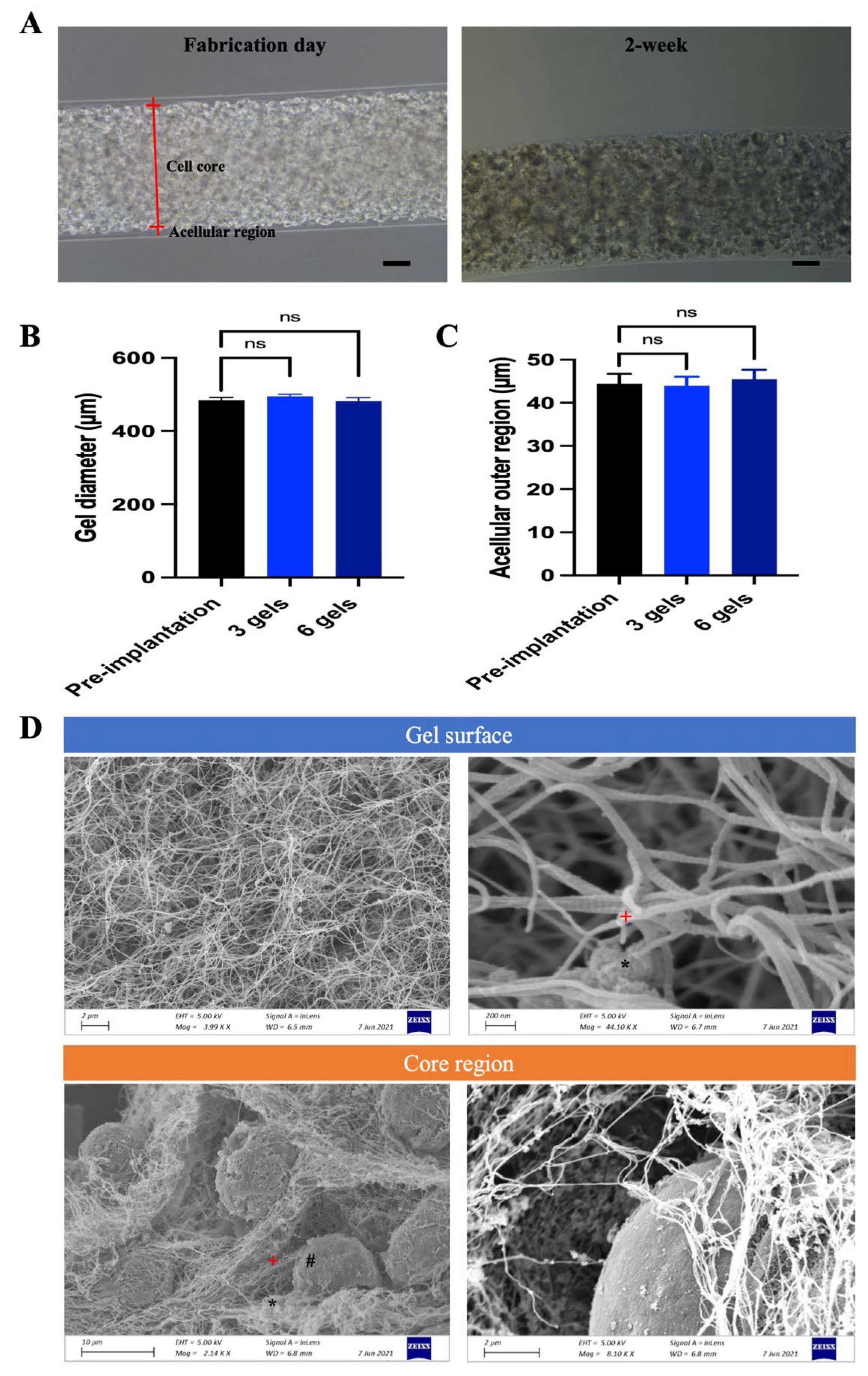 Preprints 114354 g004