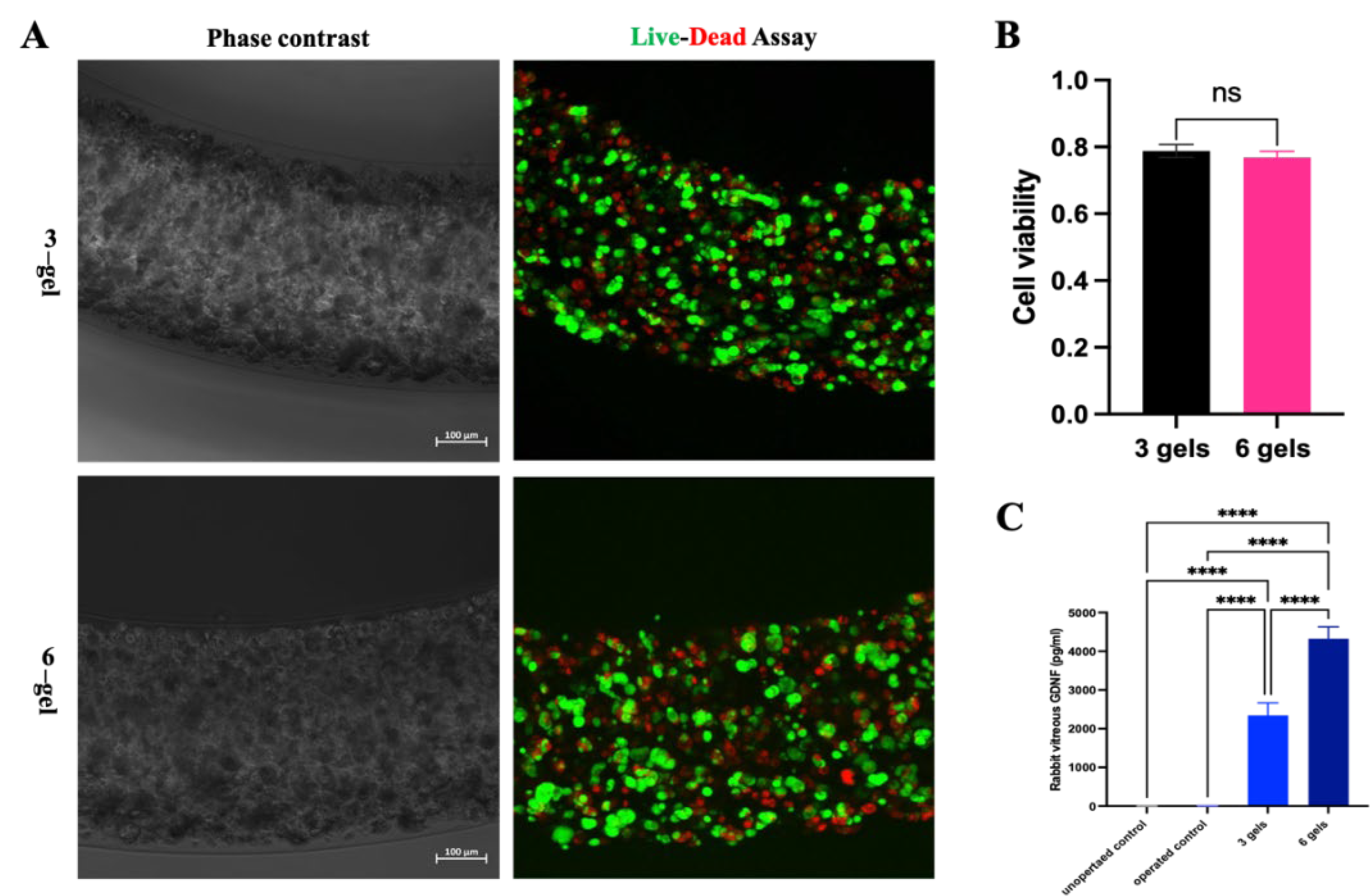 Preprints 114354 g005