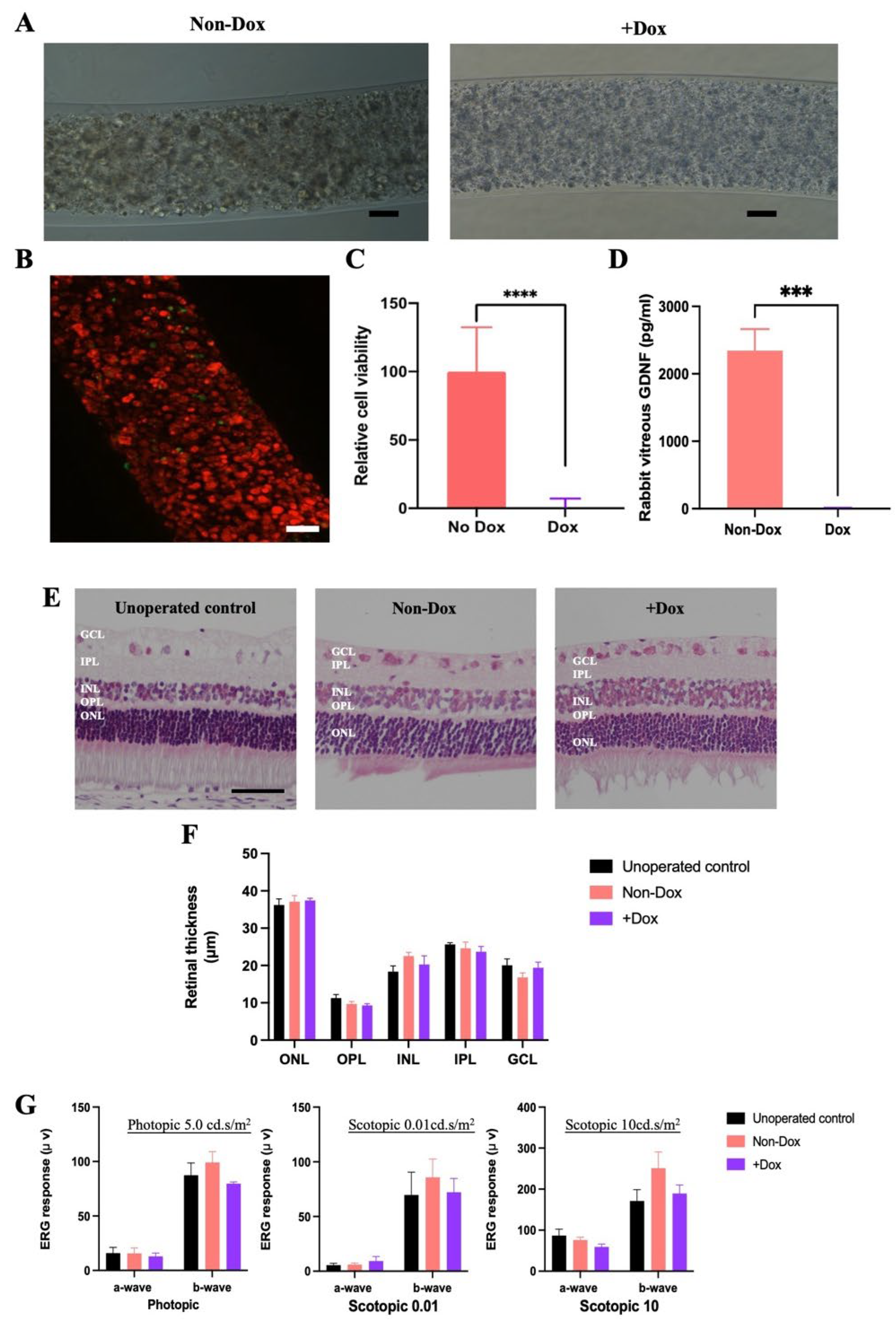 Preprints 114354 g006