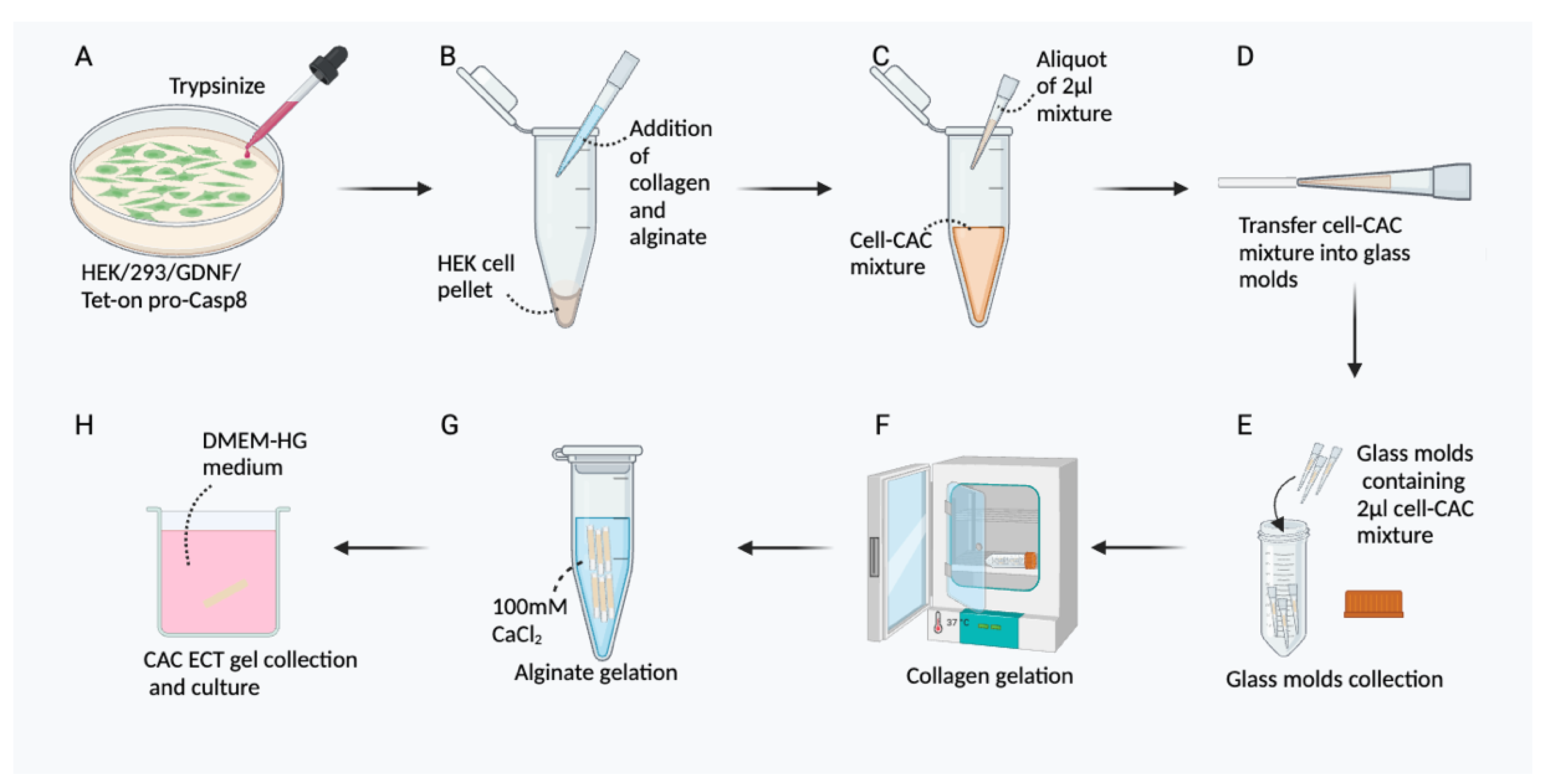 Preprints 114354 g008