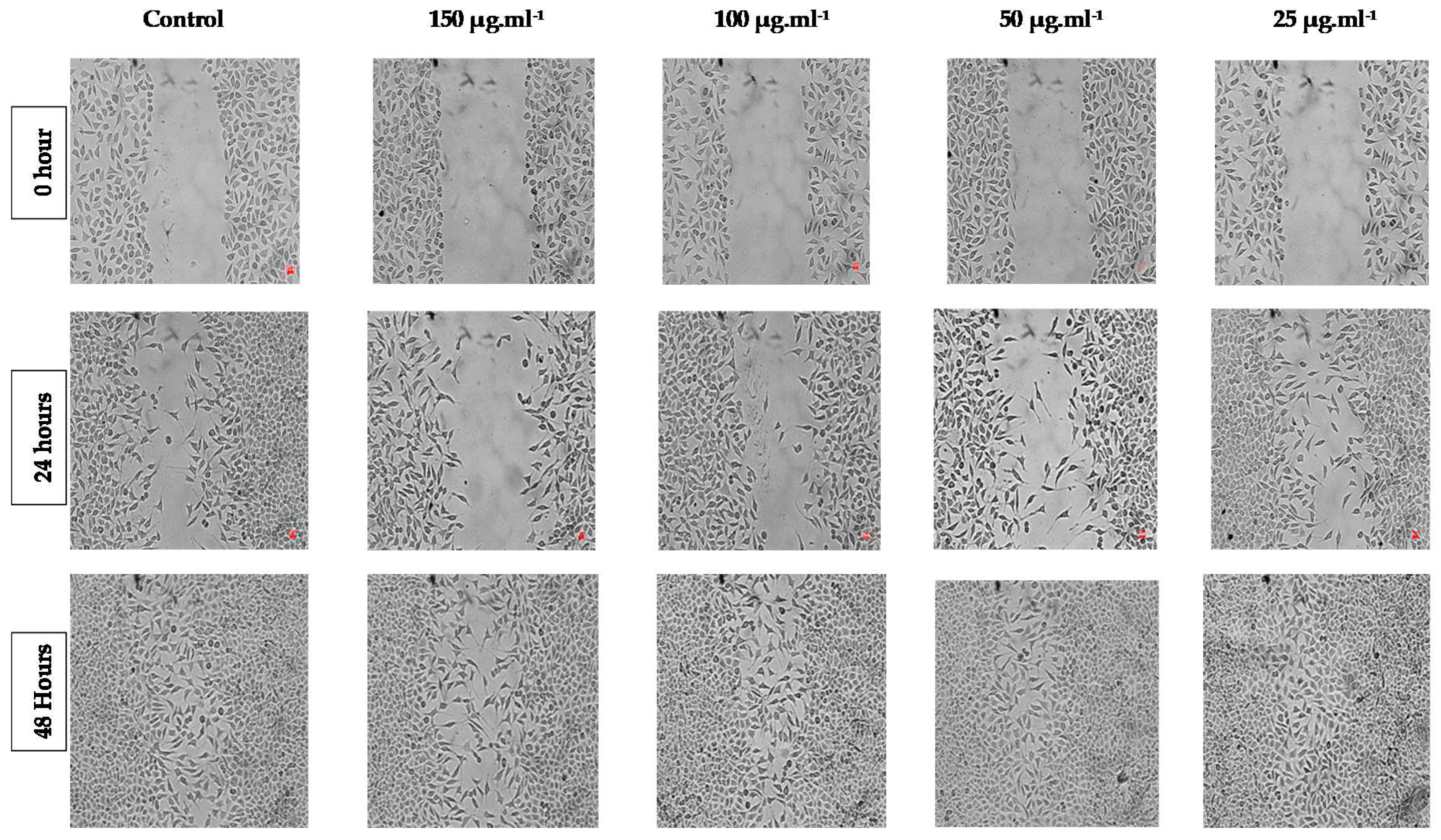 Preprints 77726 g002