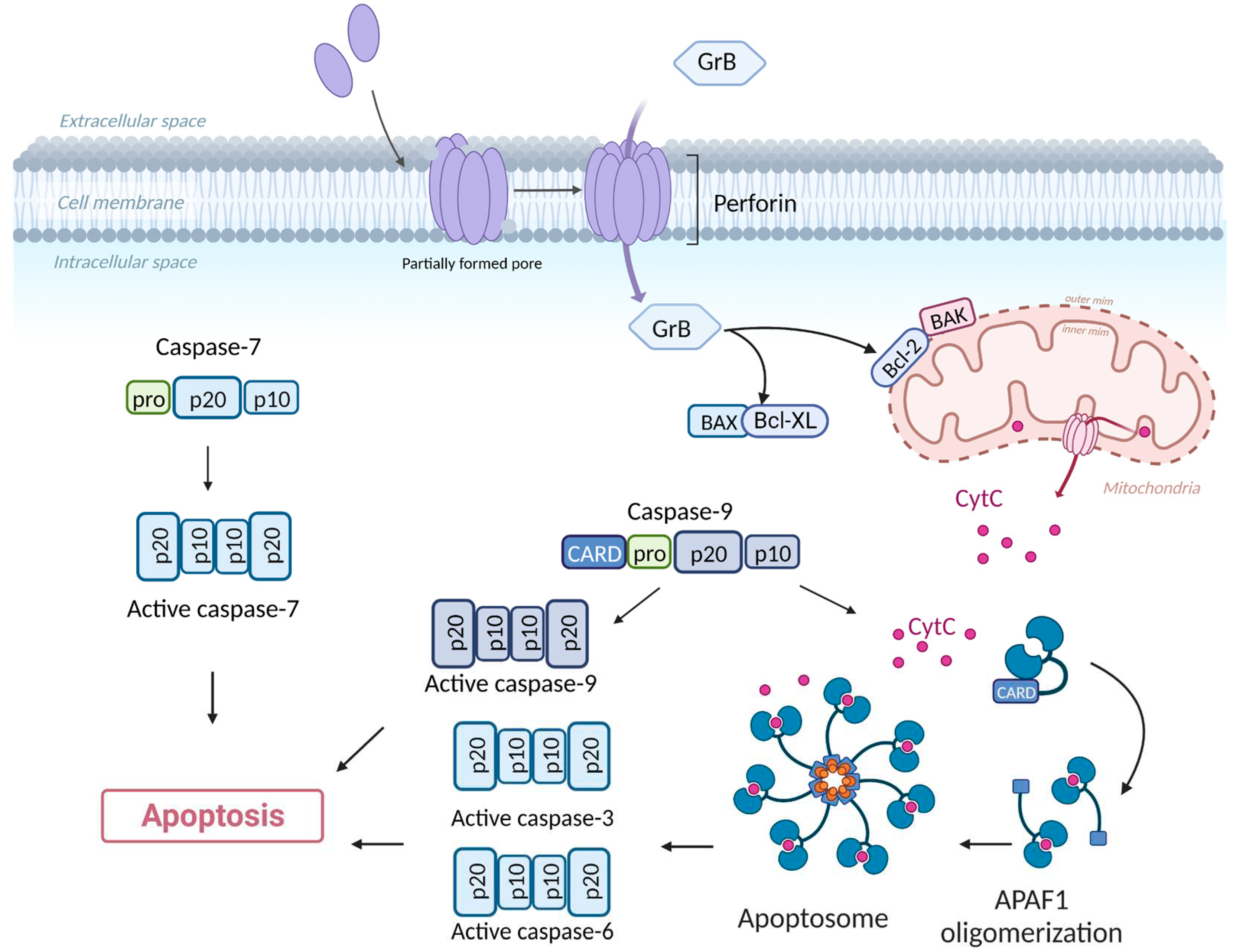 Preprints 89203 g002