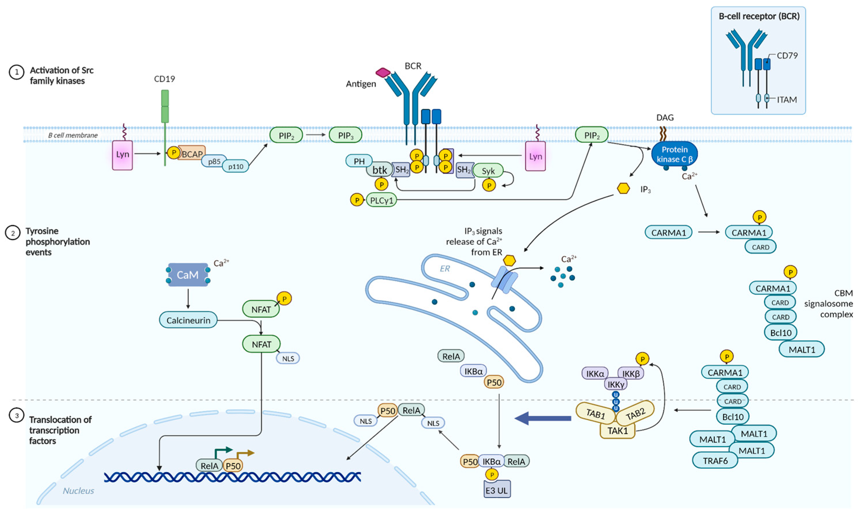 Preprints 89203 g004