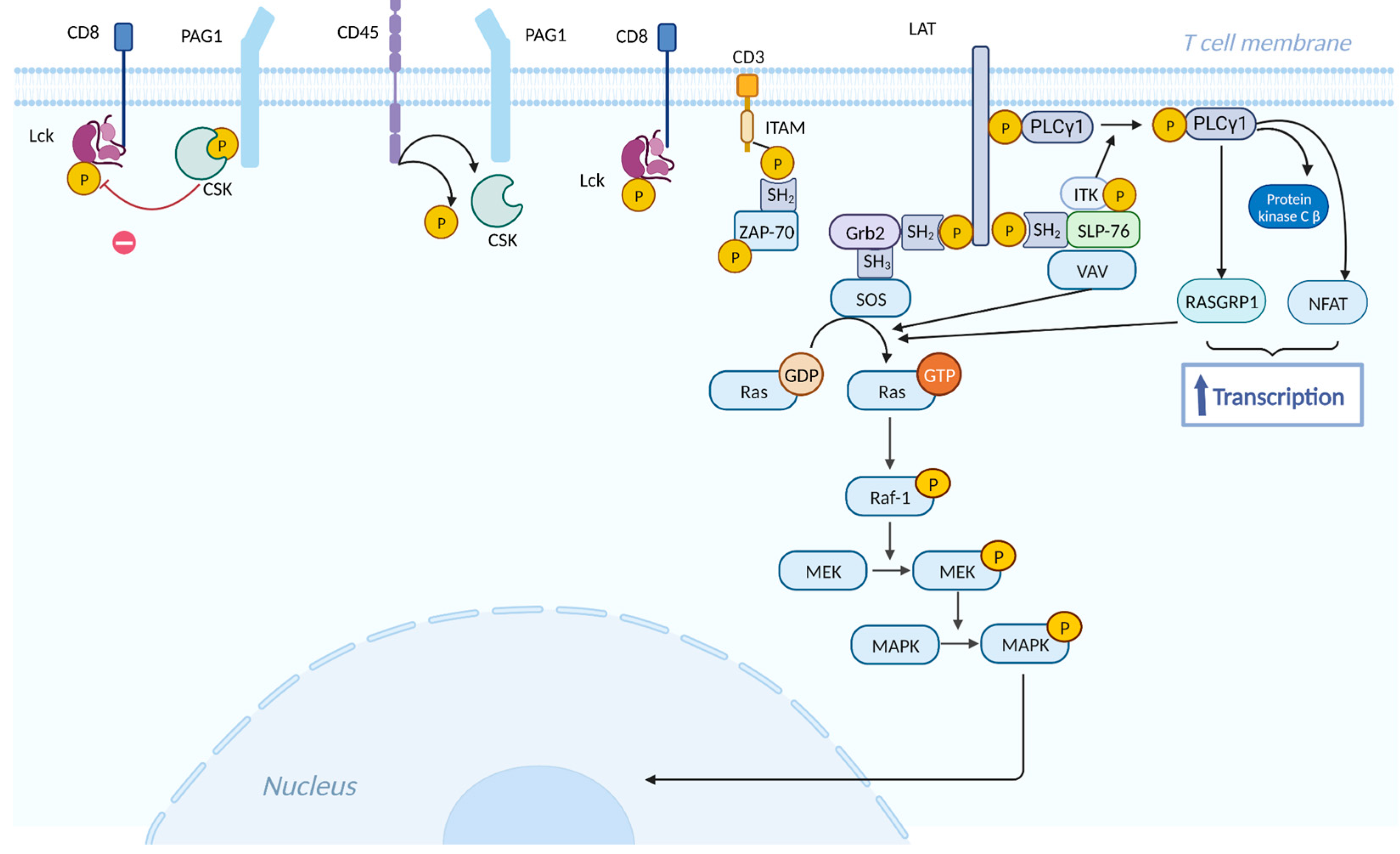 Preprints 89203 g005