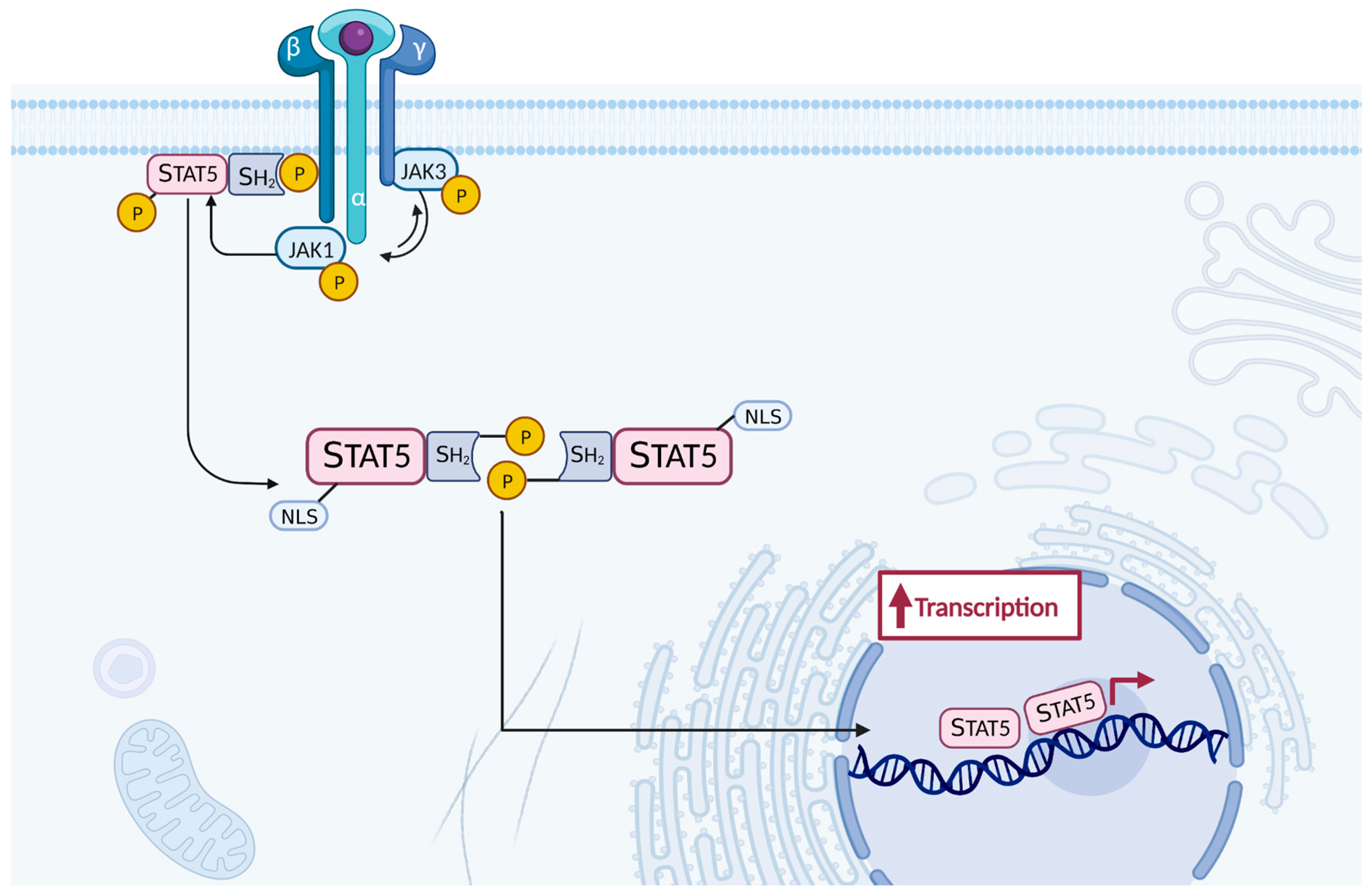 Preprints 89203 g006