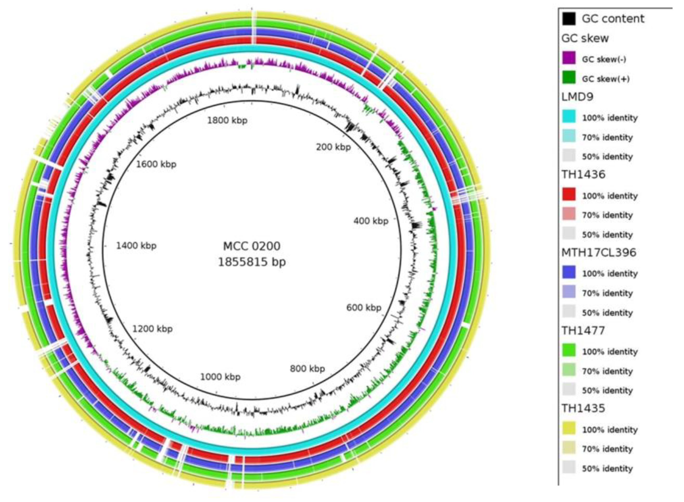 Preprints 92619 g001