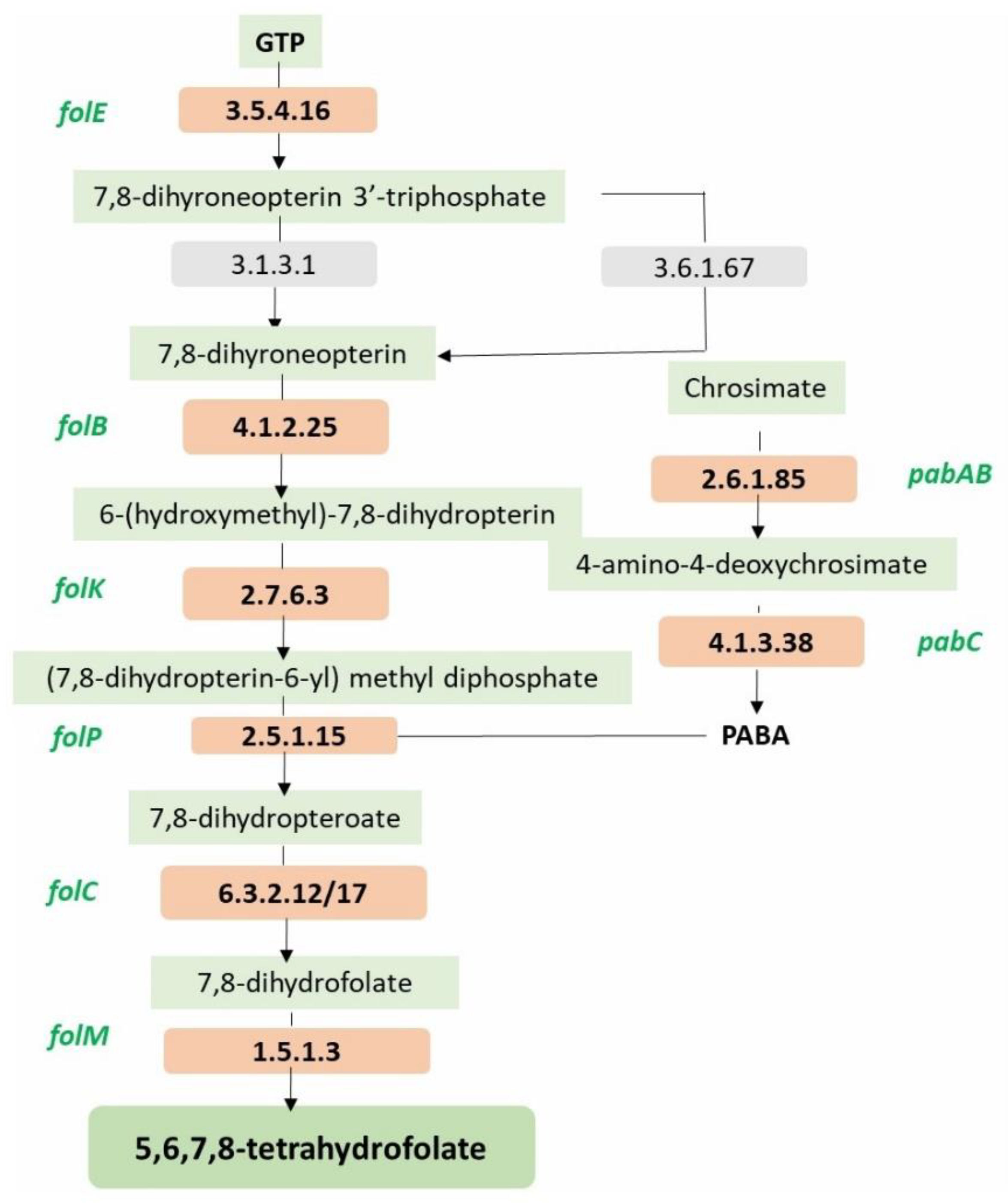 Preprints 92619 g006