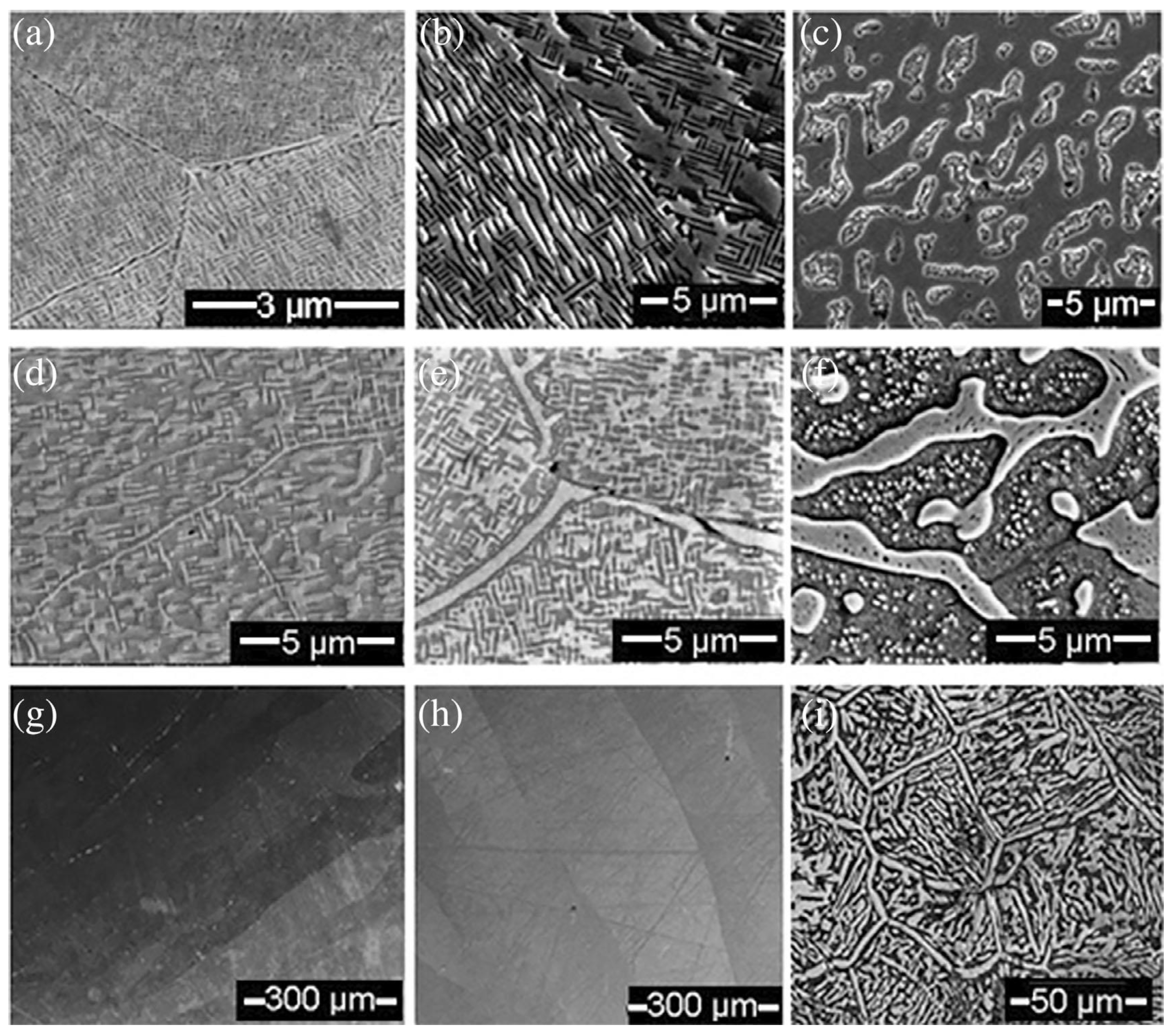 Preprints 86444 g002