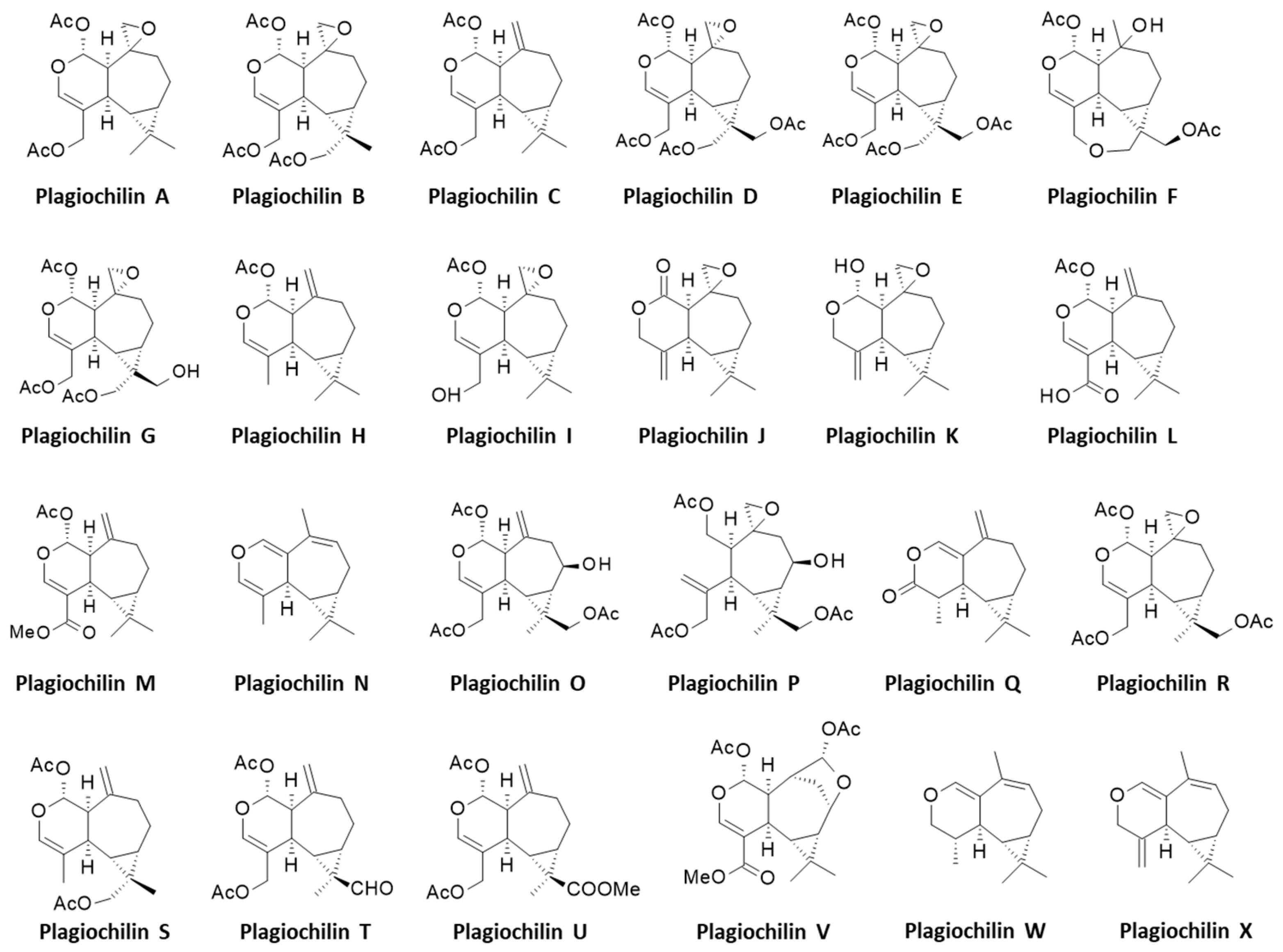 Preprints 71344 g001