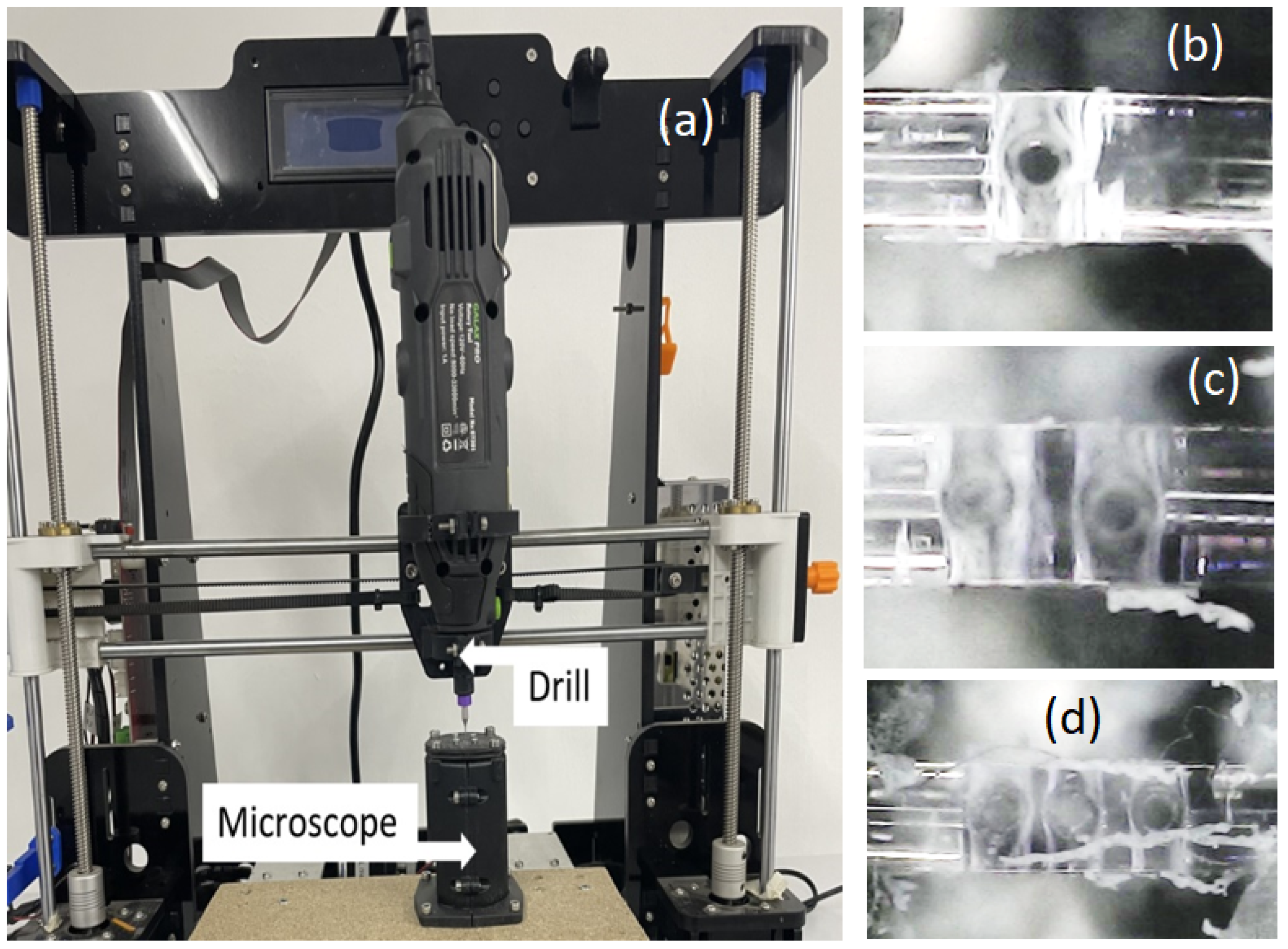 Preprints 99663 g002