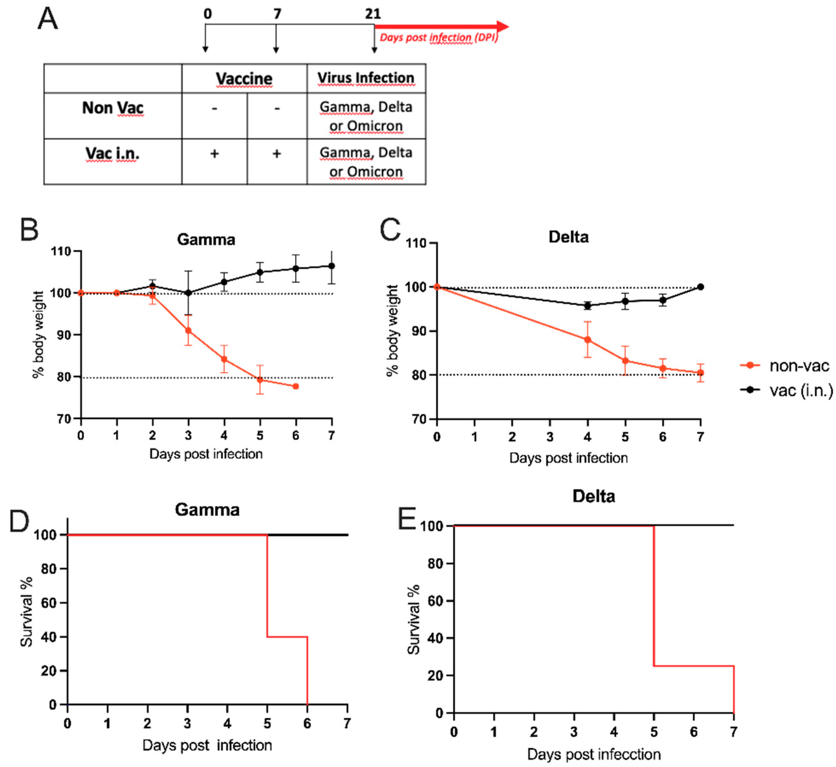 Preprints 87268 g003