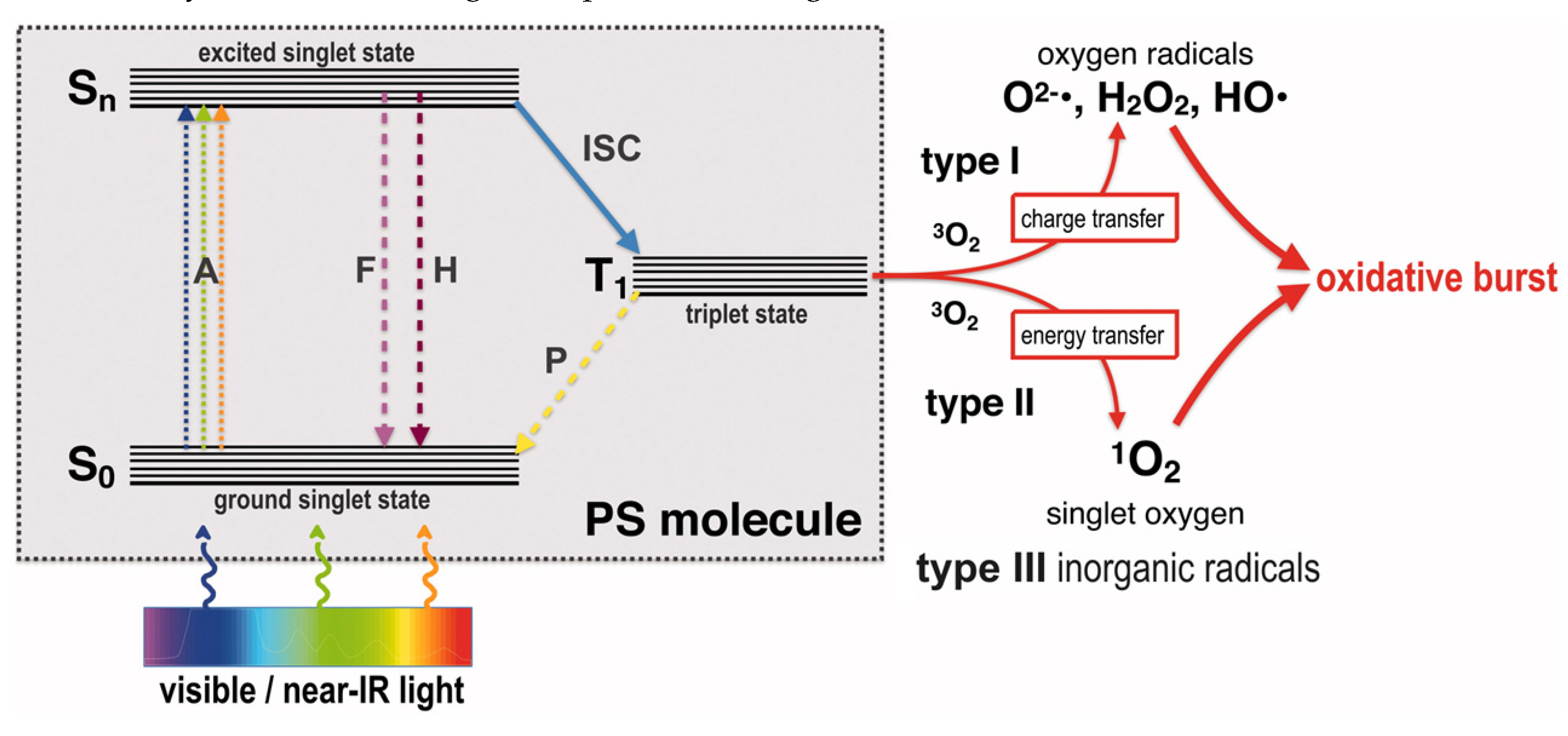 Preprints 107287 g003