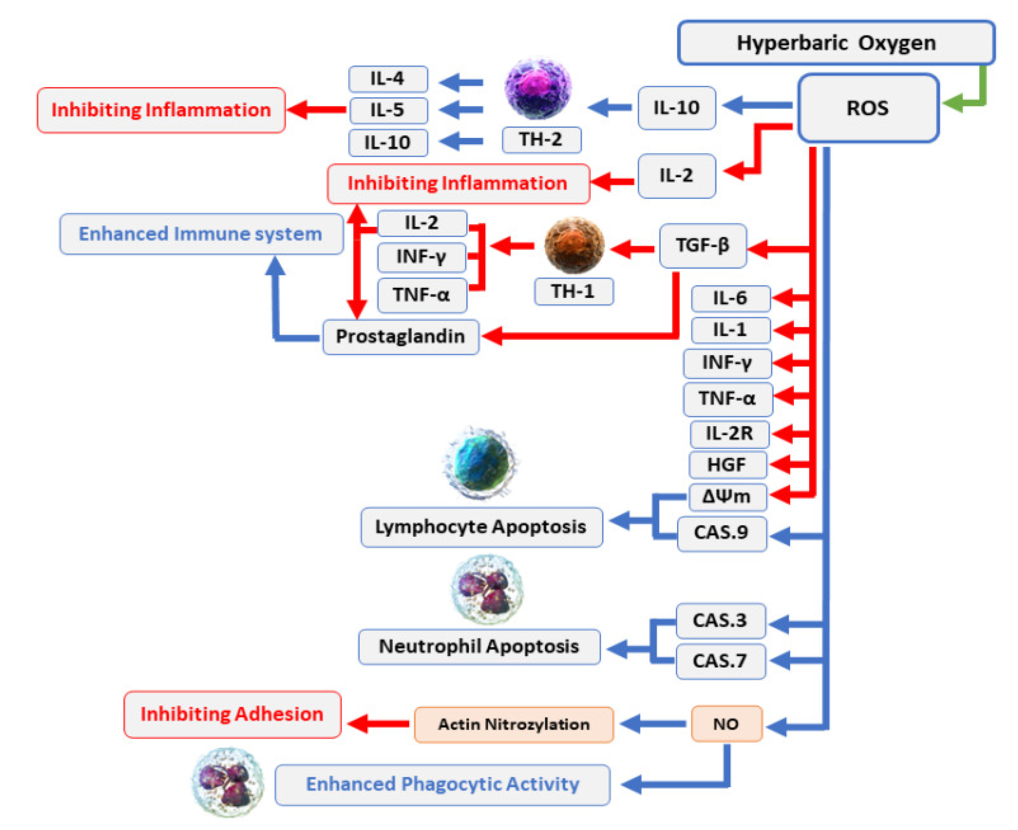 Preprints 107287 g005