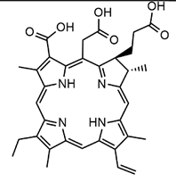 Preprints 107287 i007