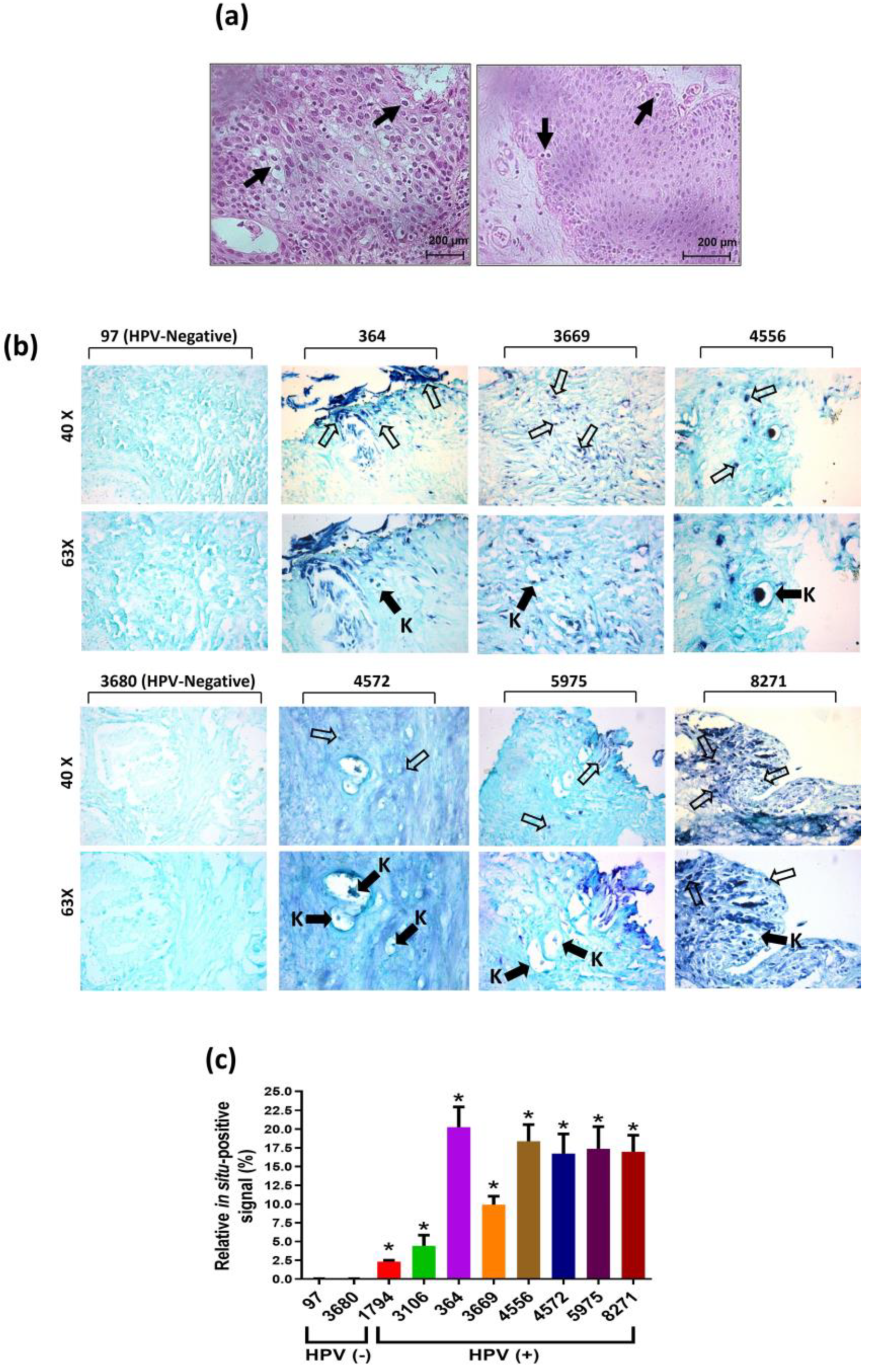 Preprints 118193 g002