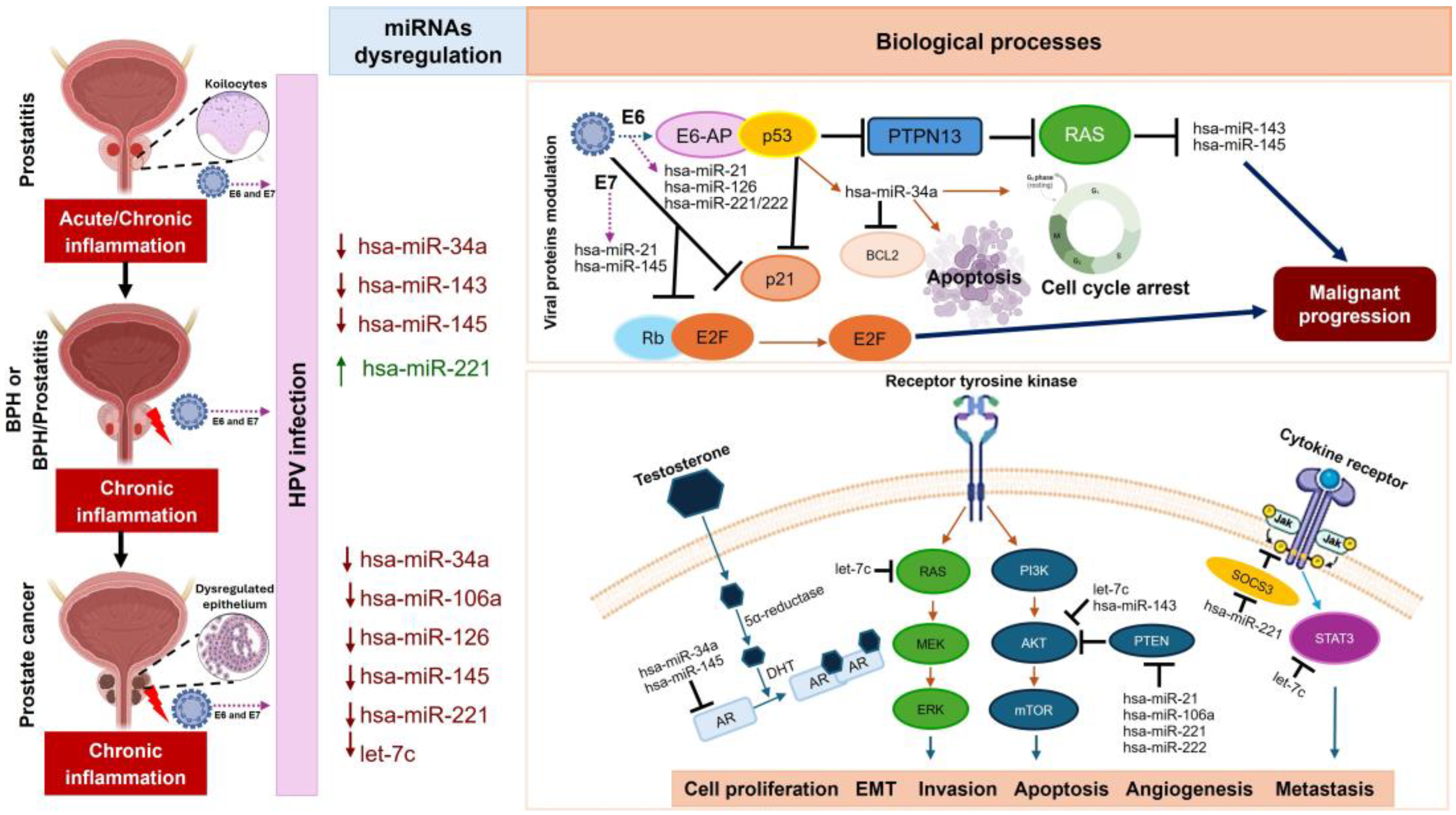 Preprints 118193 g006