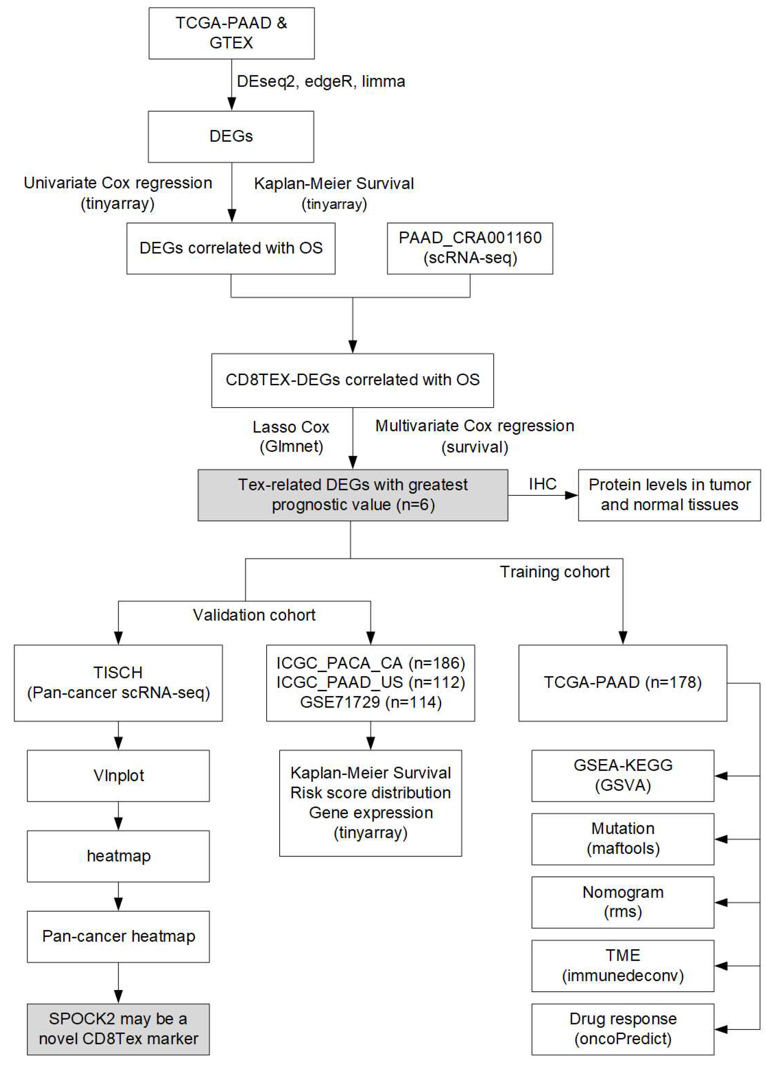 Preprints 98210 g001