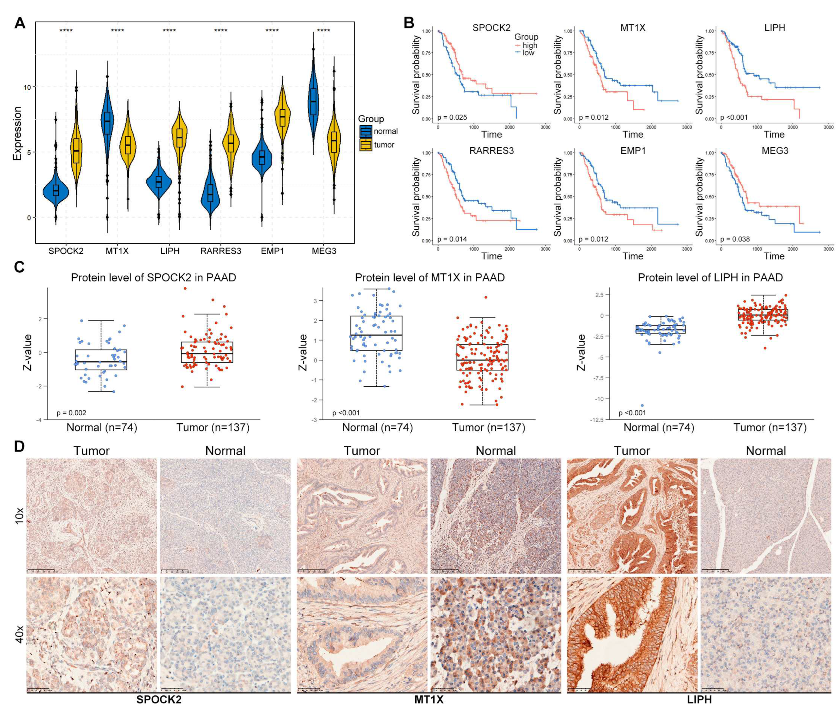 Preprints 98210 g008