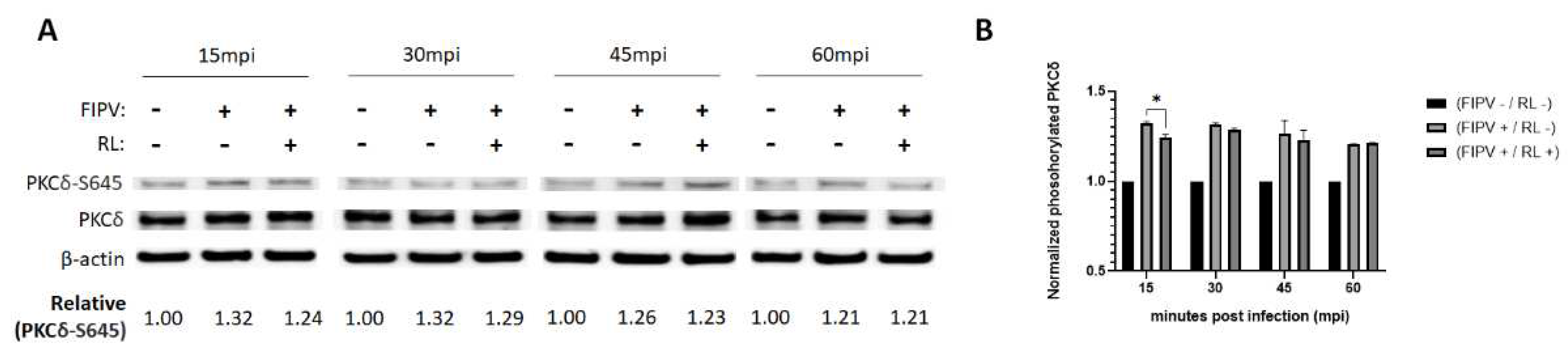 Preprints 70645 g002