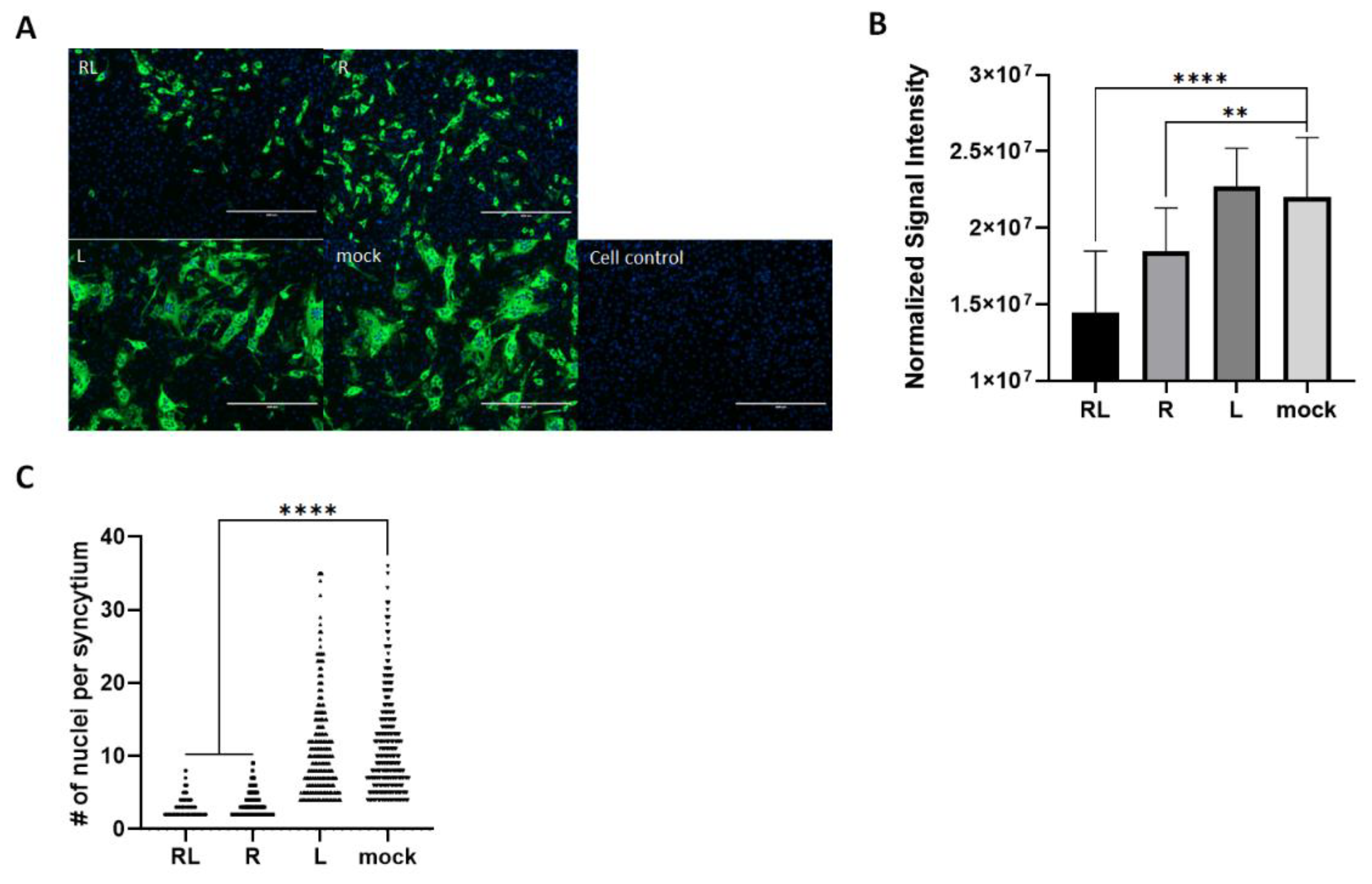 Preprints 70645 g004