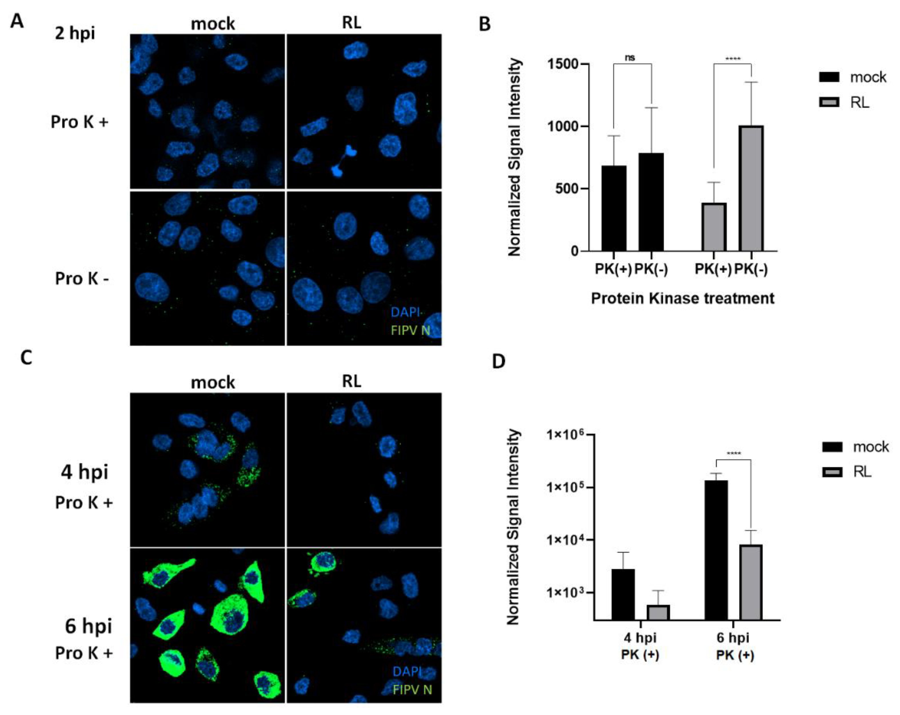 Preprints 70645 g005