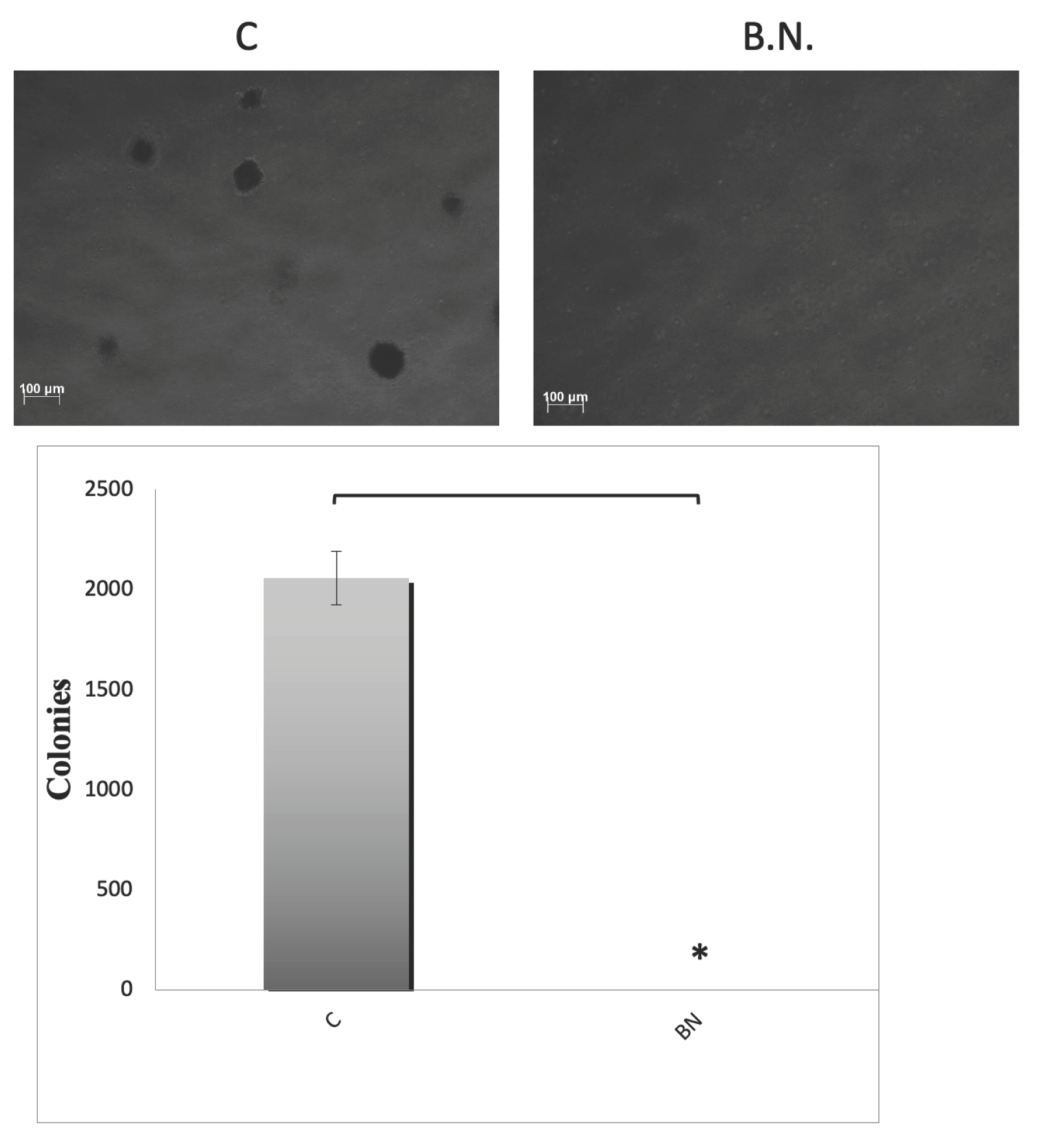 Preprints 101703 g001