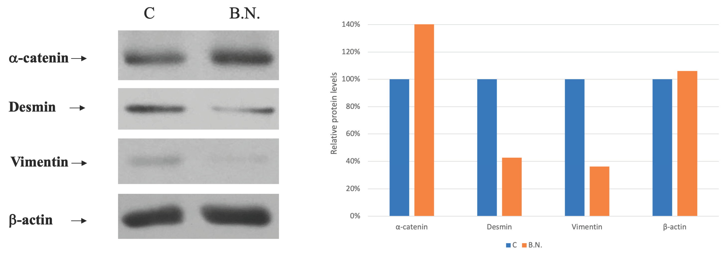 Preprints 101703 g005