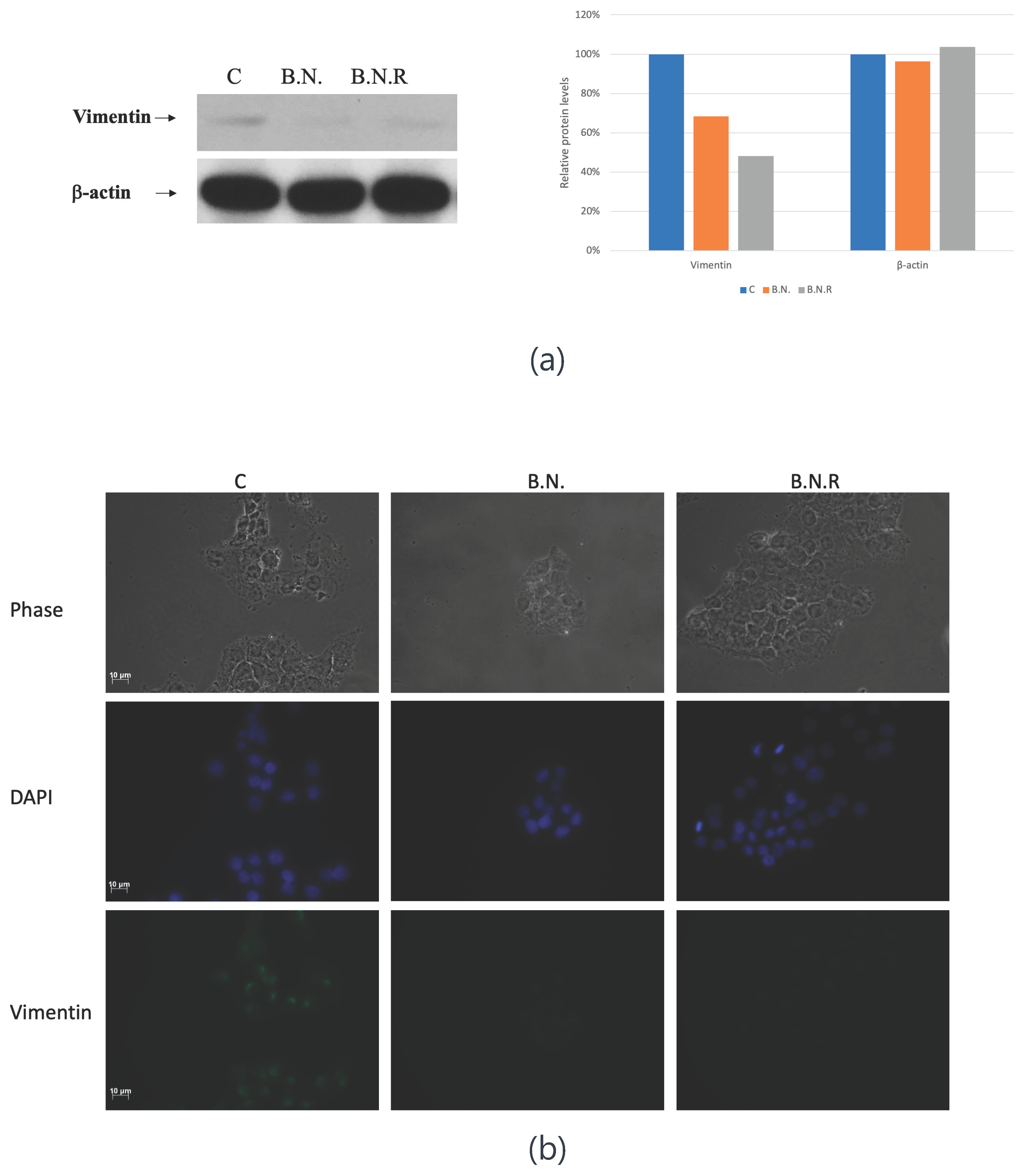 Preprints 101703 g006