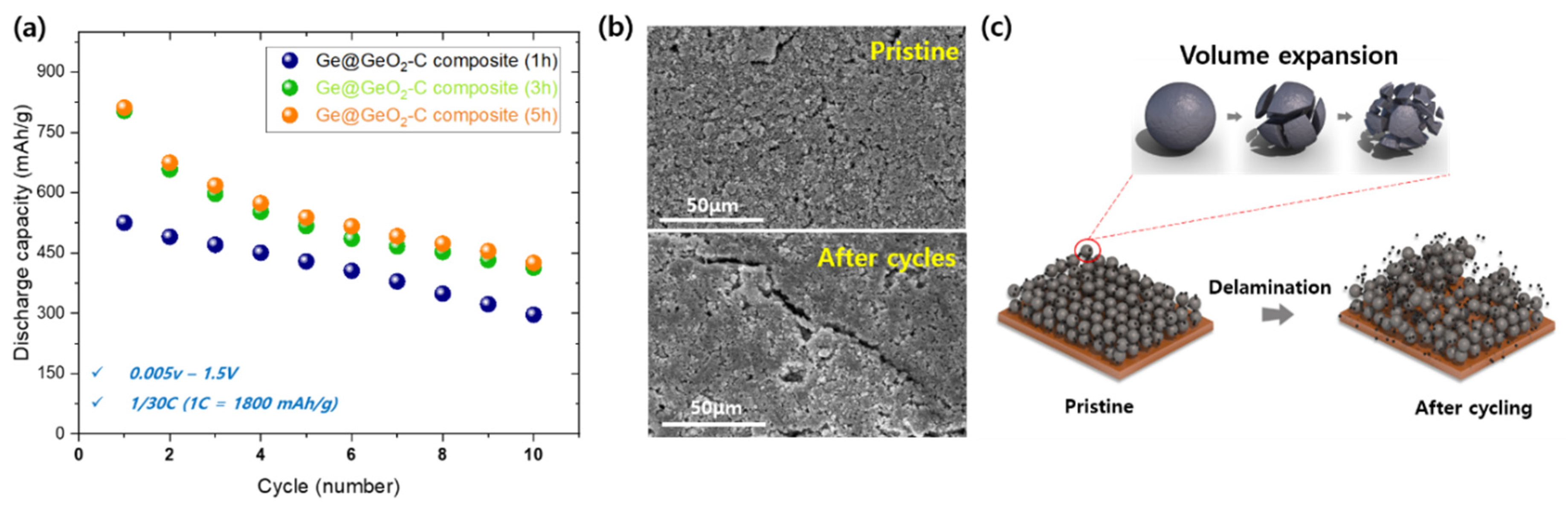 Preprints 95932 g005