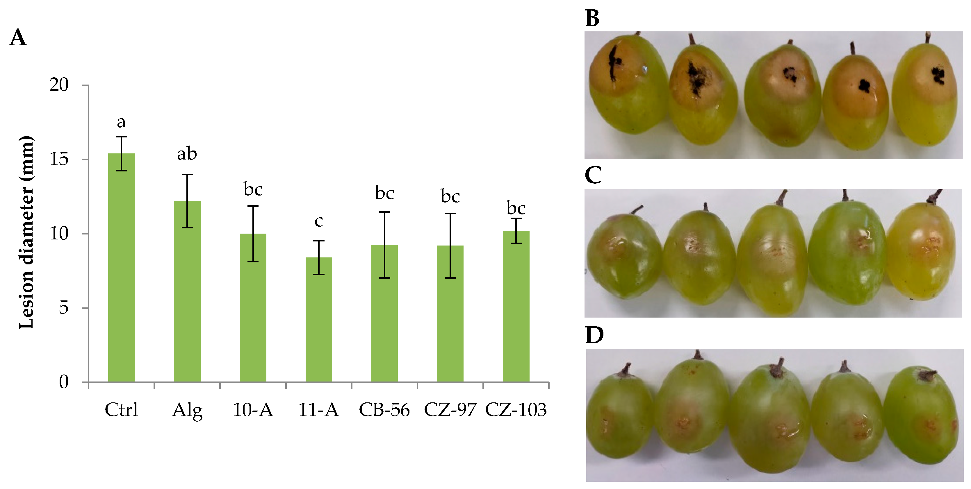 Preprints 100520 g002