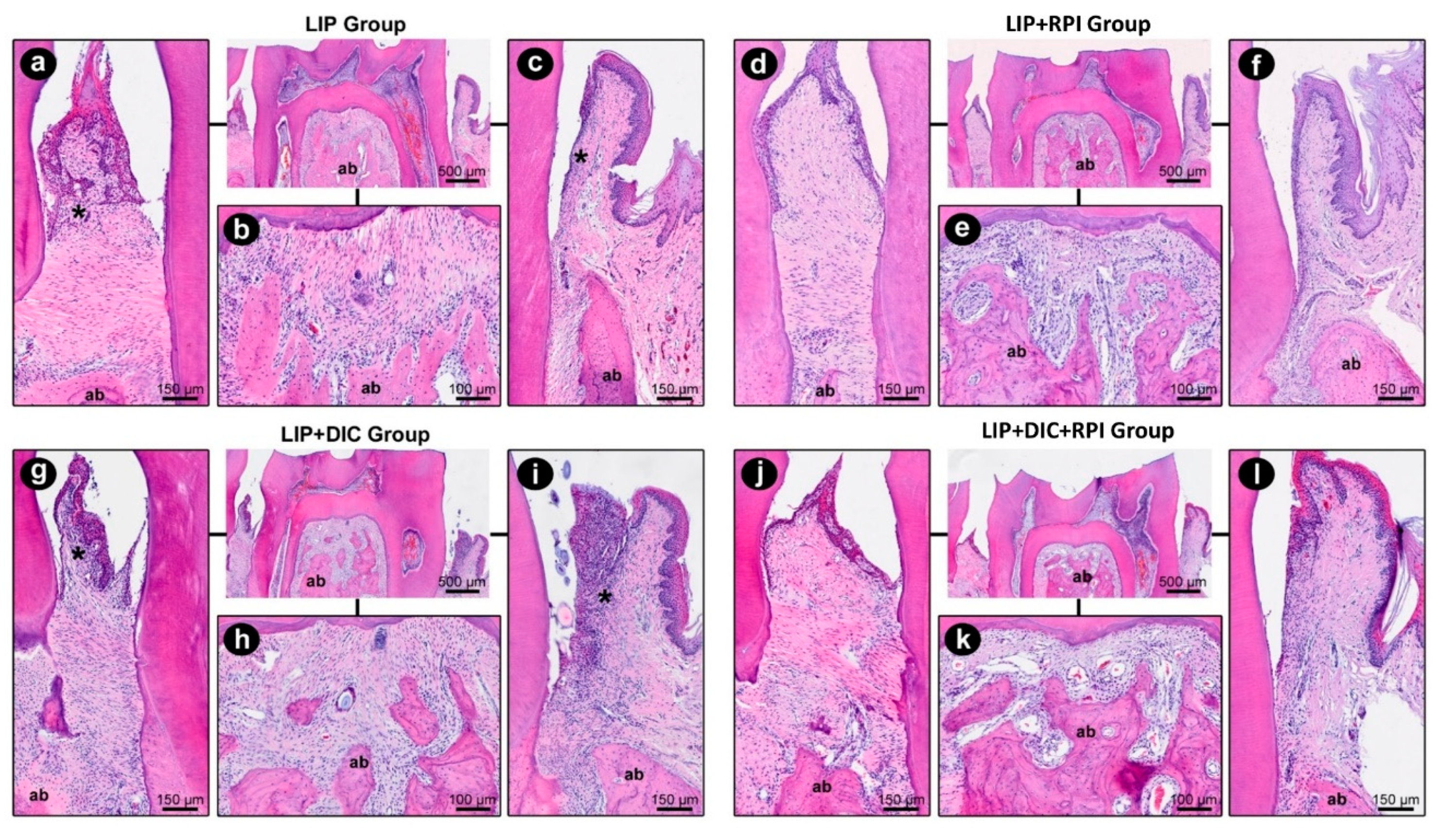 Preprints 75348 g004