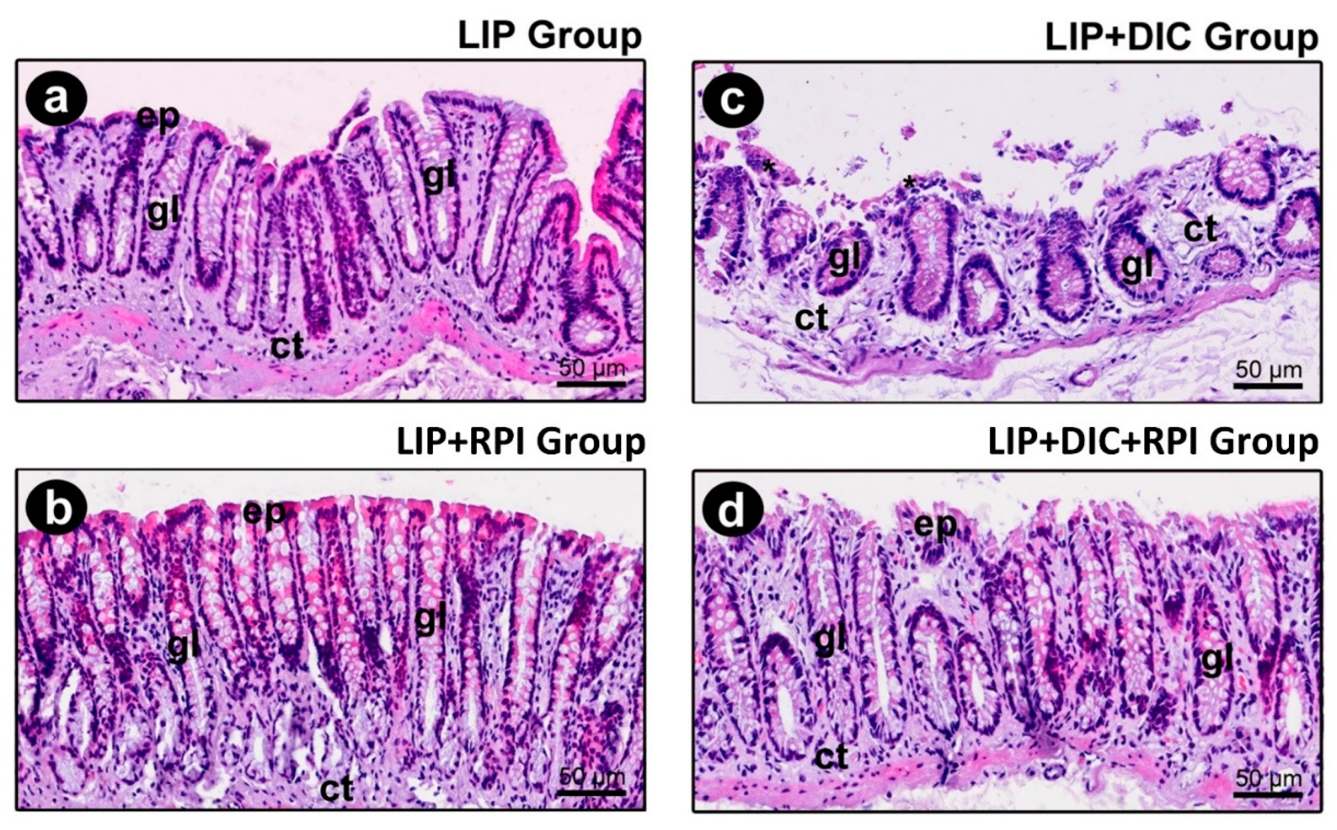 Preprints 75348 g006