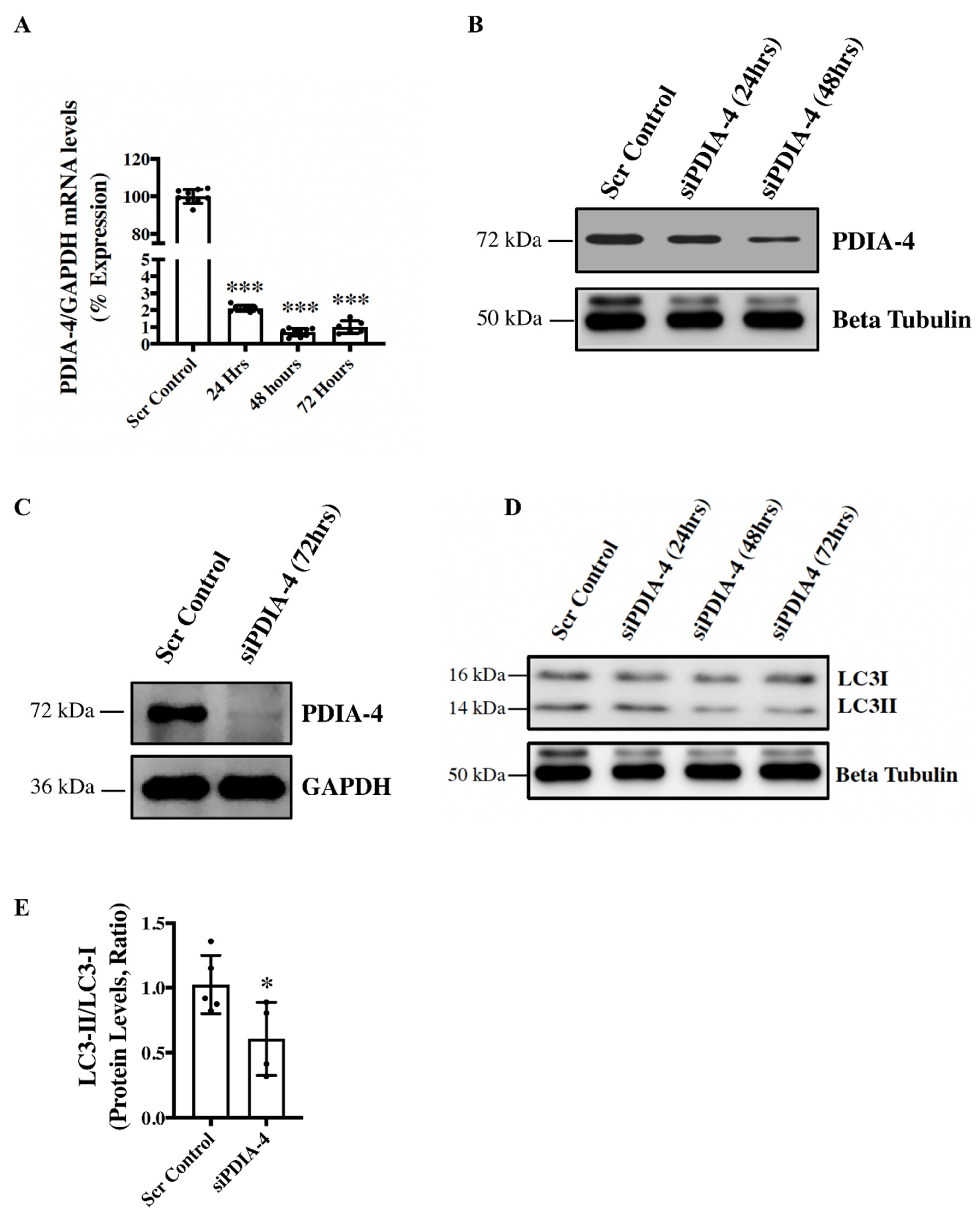 Preprints 94721 g001