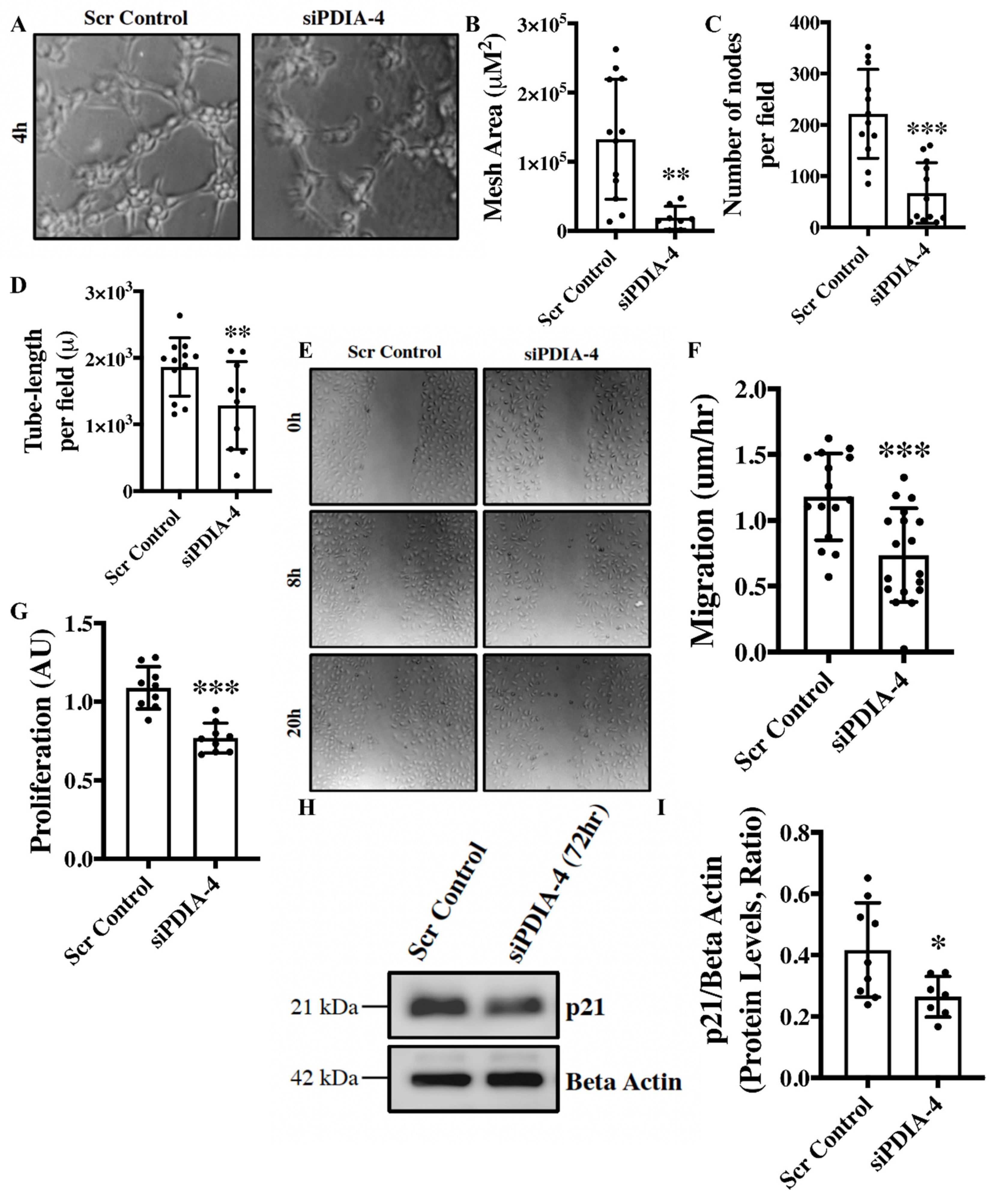 Preprints 94721 g002