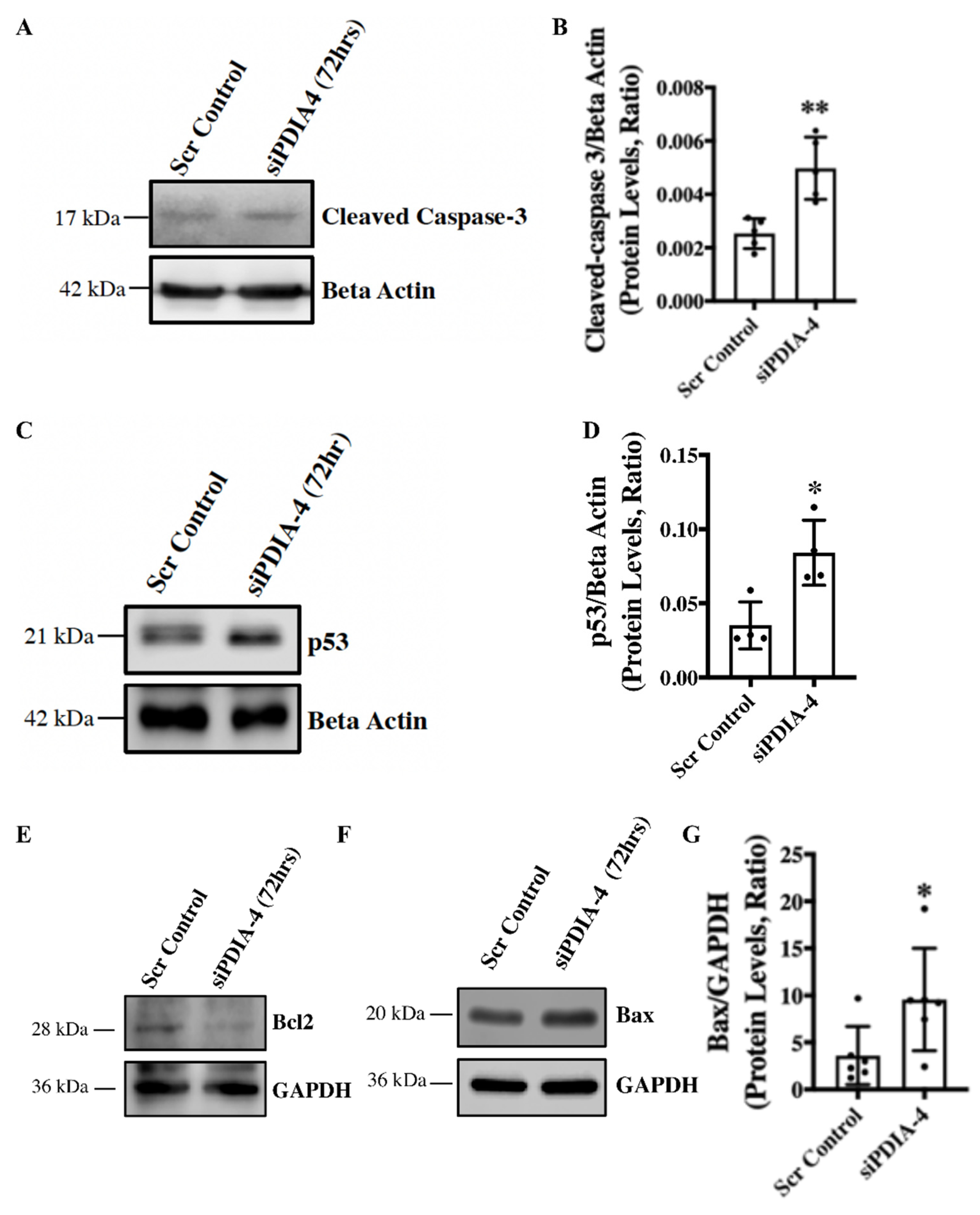 Preprints 94721 g003