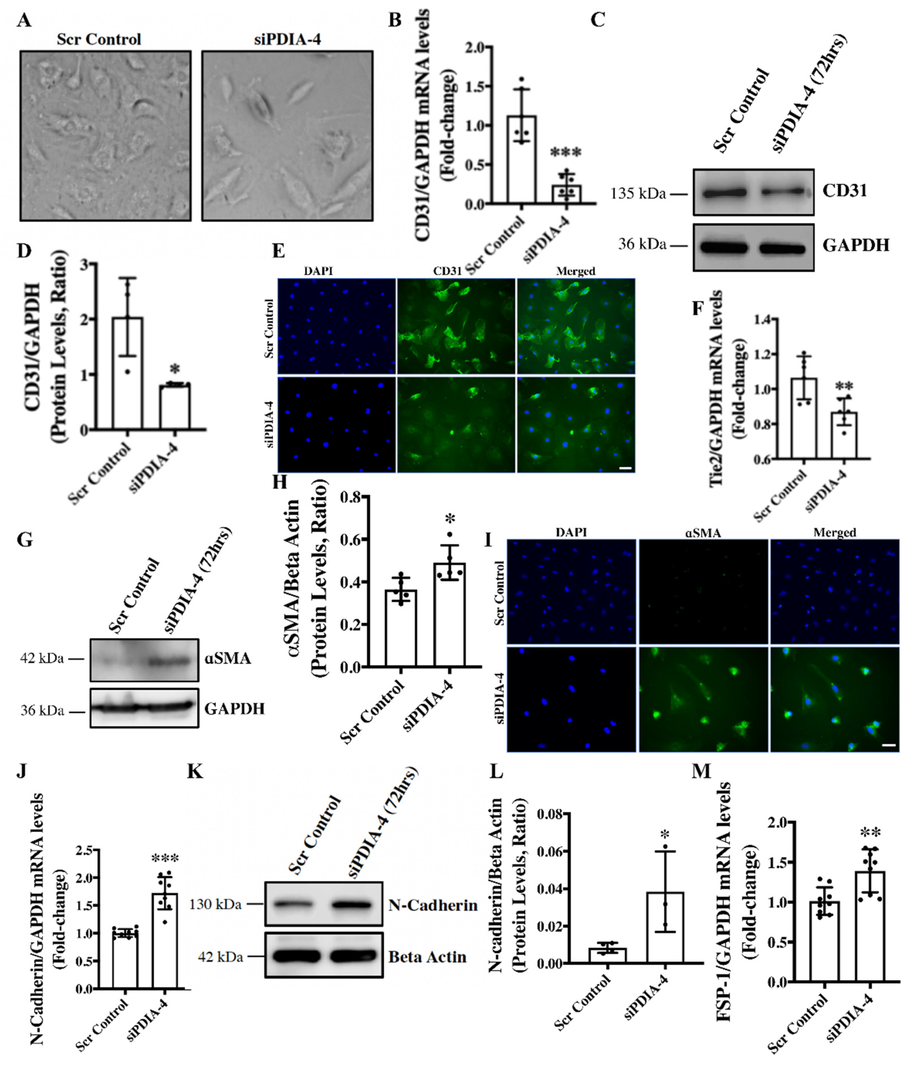 Preprints 94721 g004