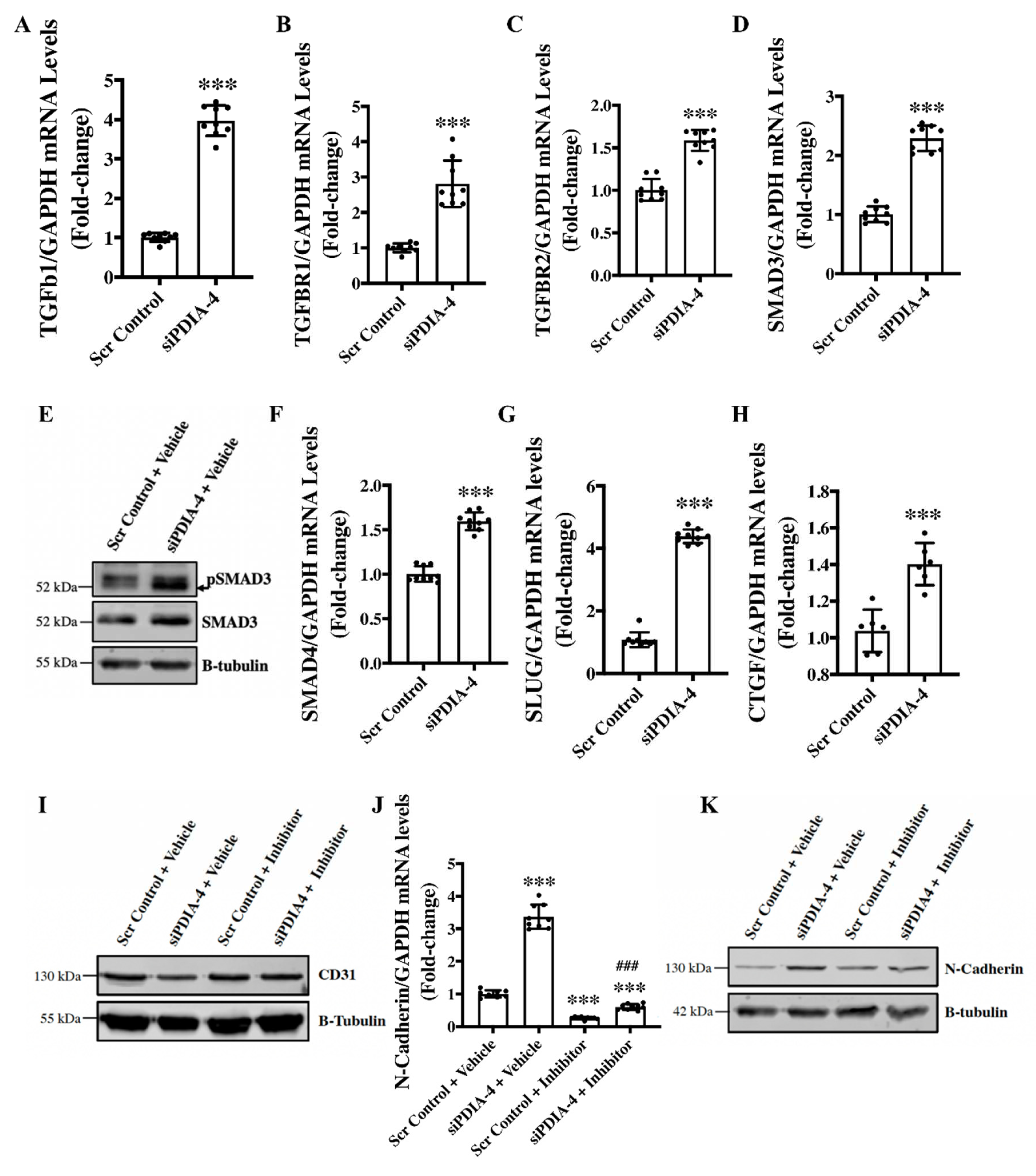 Preprints 94721 g005