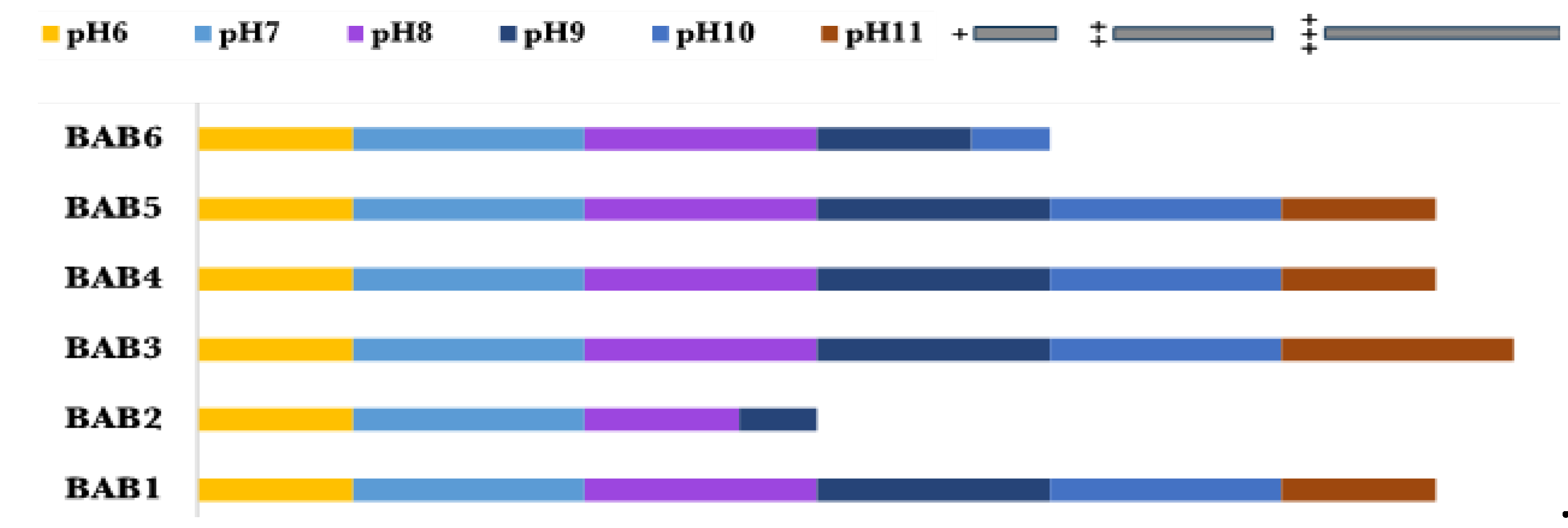 Preprints 110859 g008