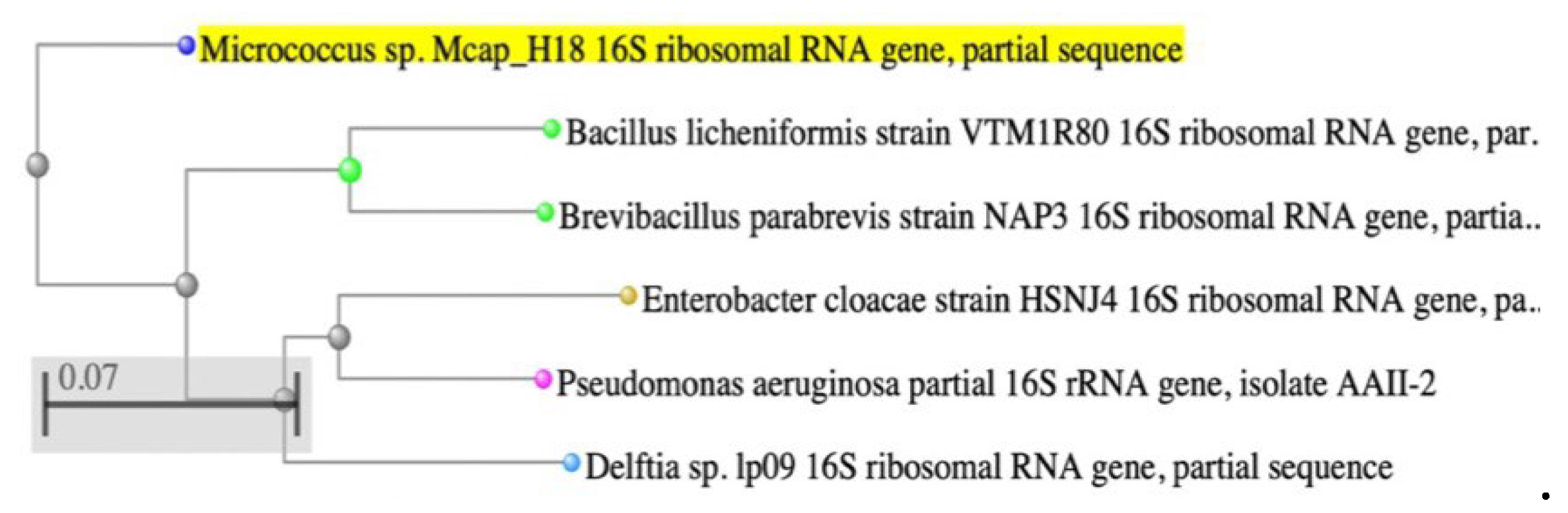 Preprints 110859 g011