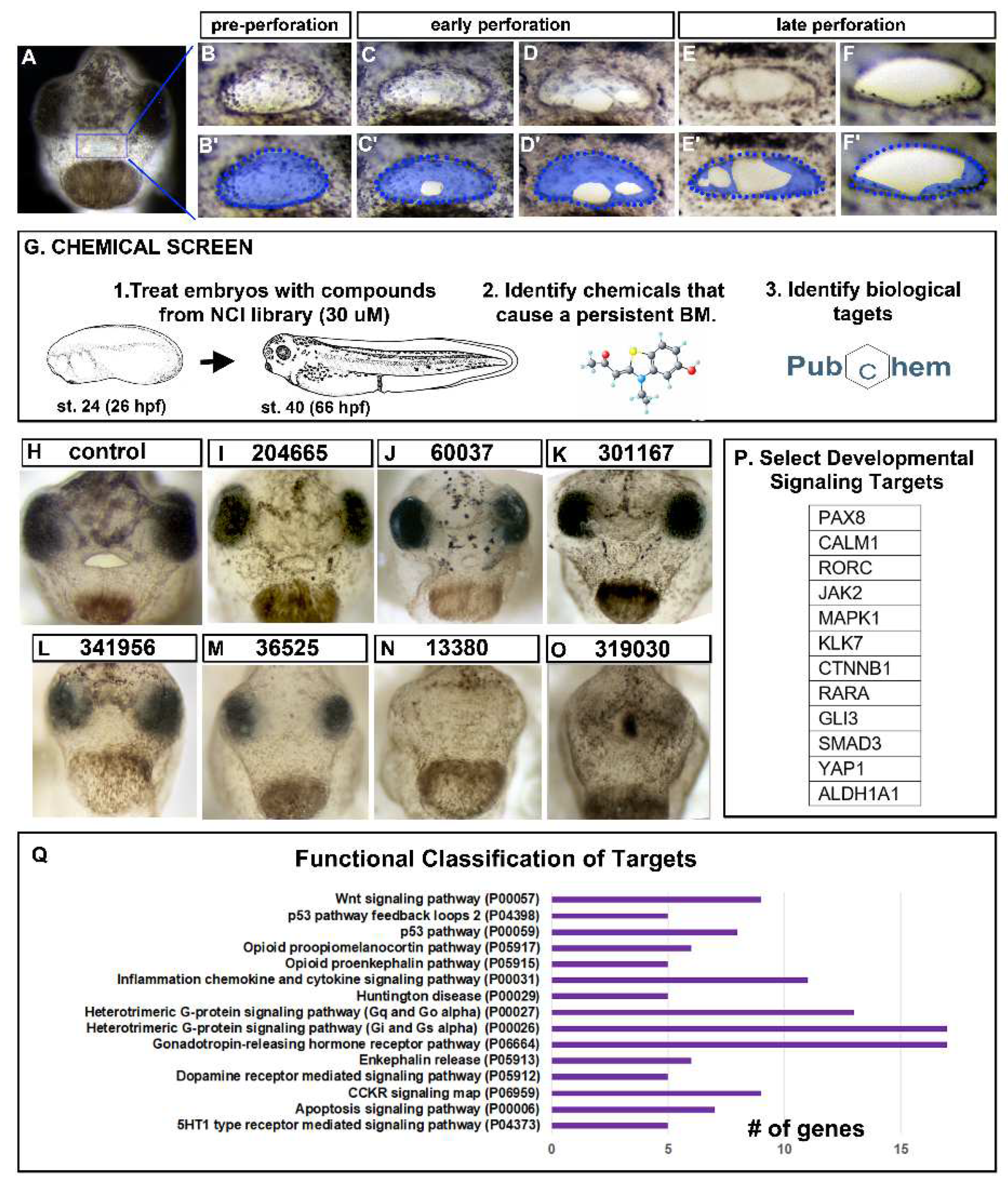 Preprints 70860 g001