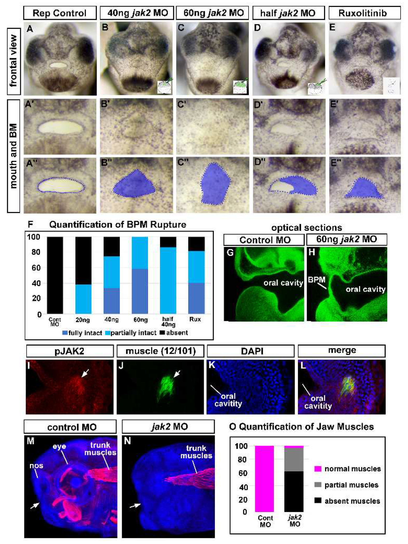 Preprints 70860 g003